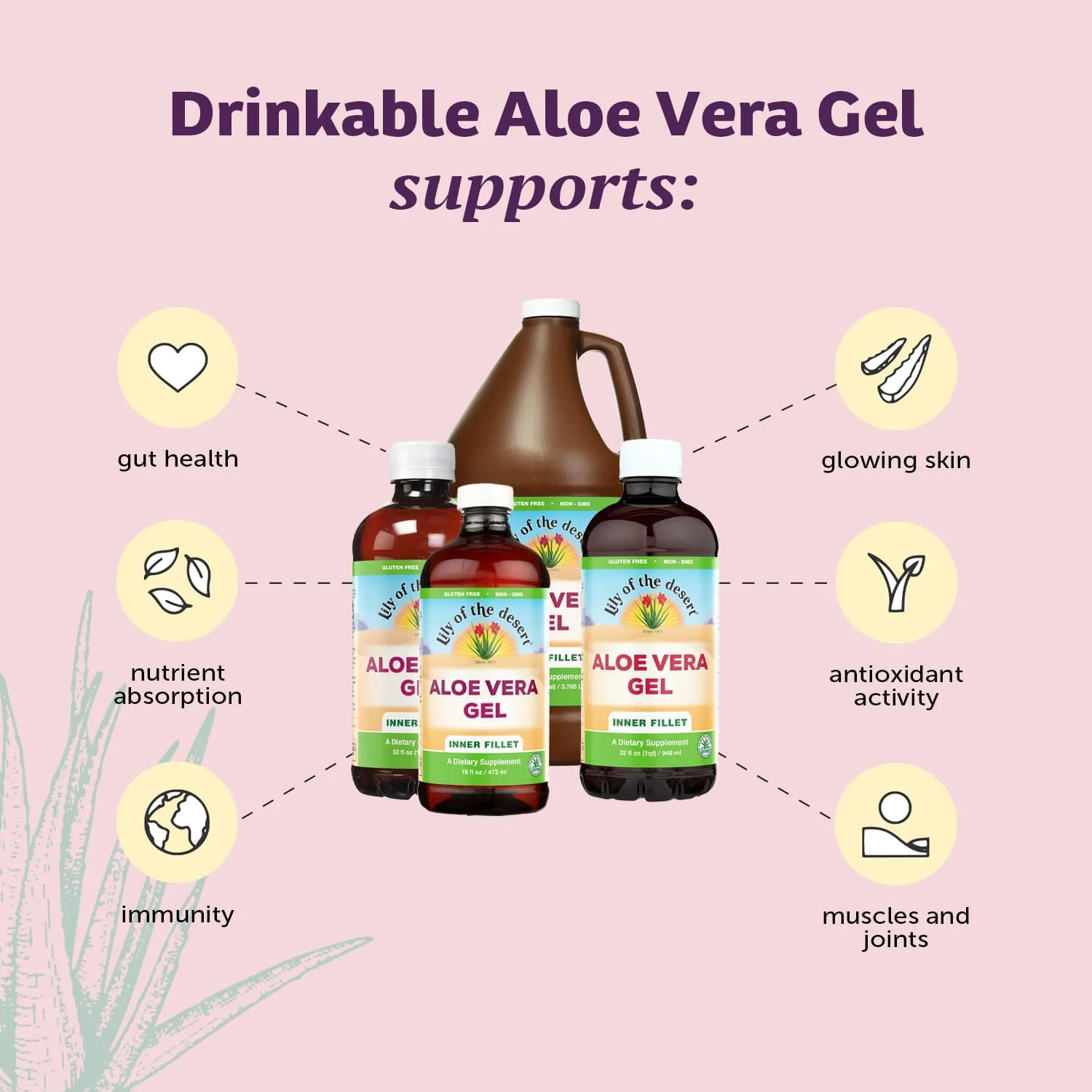 Lily Of The Desert Organic Aloe Vera Juice 2-Pack – Inner Fillet, Gut Health & Digestive Support, 32 Fl Oz Ea - Image 3