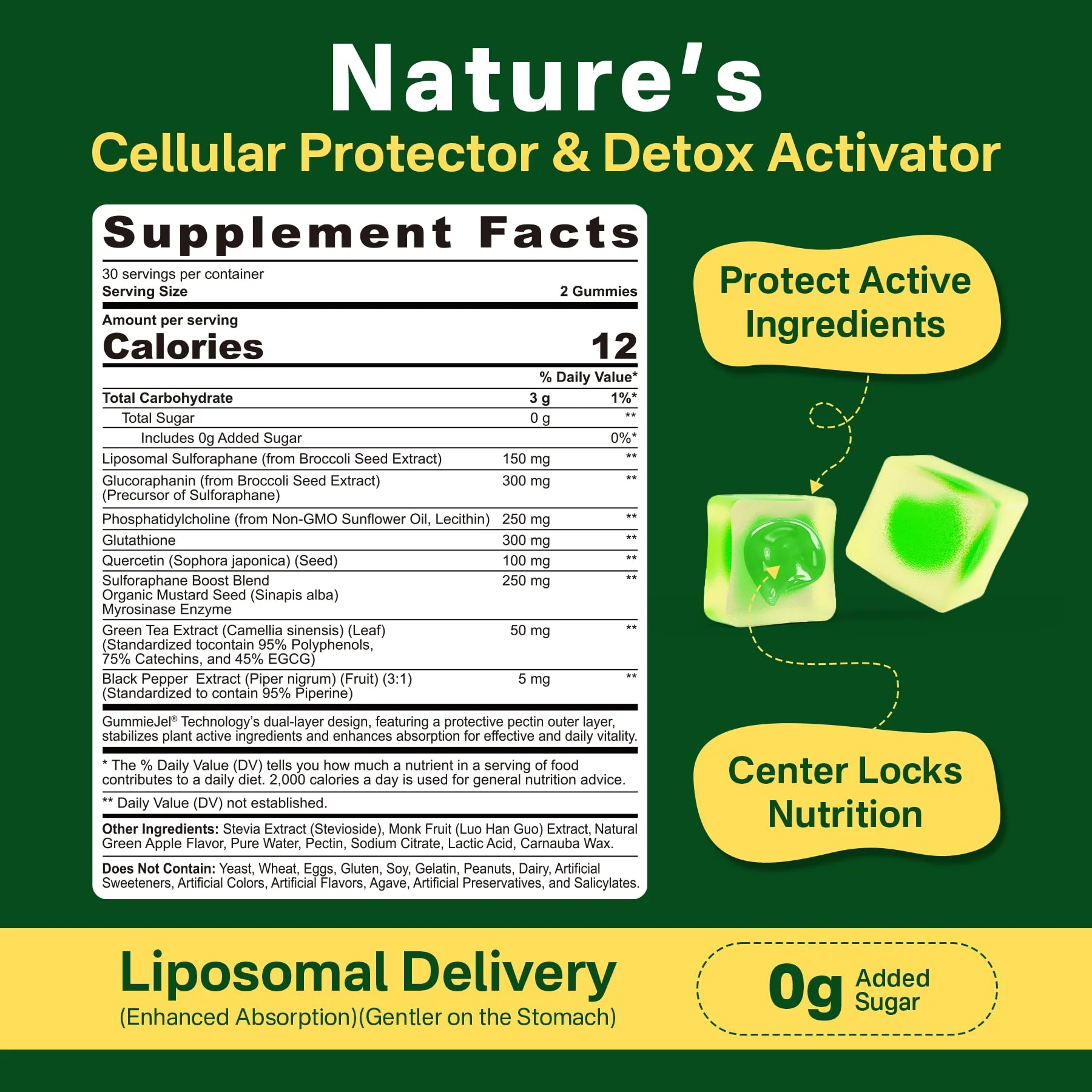 Liposomal Sulforaphane Gummies 150mg | Broccoli Seed Extract, Myrosinase & Quercetin (120 Ct) - Image 2