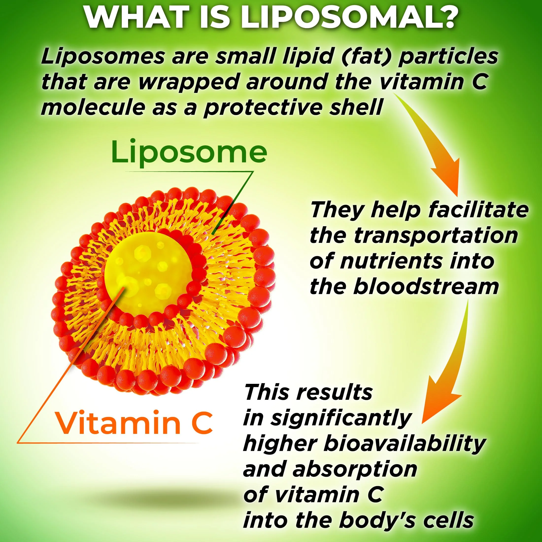 Liposomal Vitamin C 1100mg Liquid Gel Capsules – Organic Acerola Cherries | 120 ct - Image 5