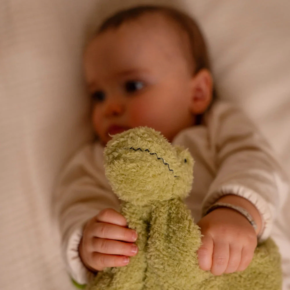Little Big Friends Baby Gift Box - Dino Friends - Image 3