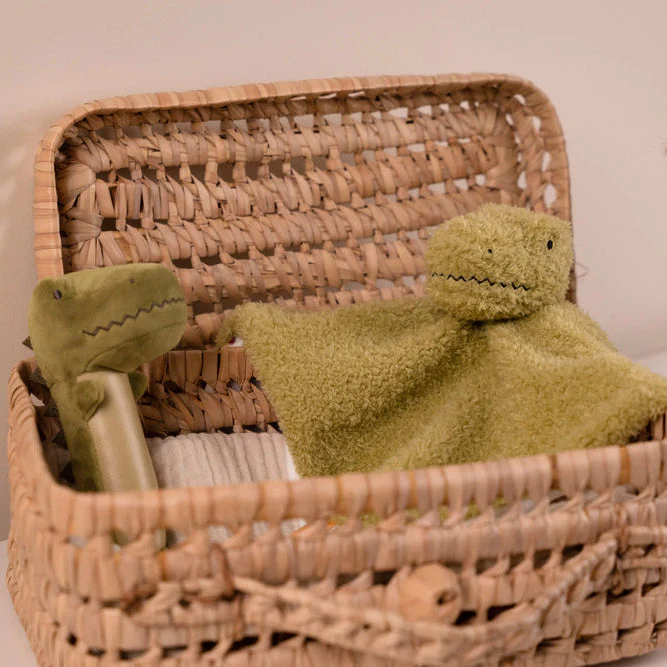 Little Big Friends Baby Gift Box - Dino Friends - Image 5