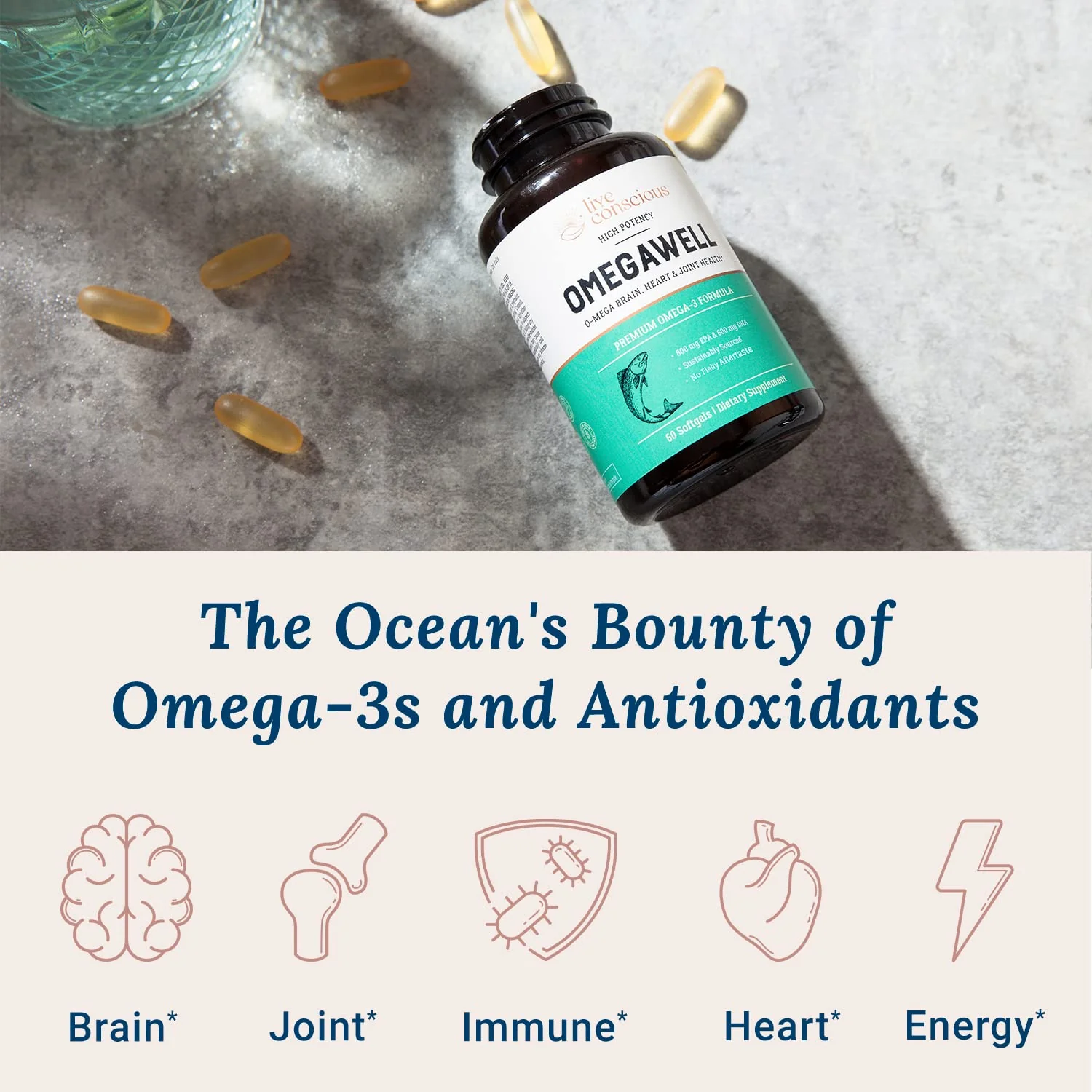 Live Conscious OmegaWell Fish Oil | 800 mg EPA / 600 mg DHA | Enteric-Coated, Burpless, Sustainably Sourced | 120-Count (2-Pack) - Image 10