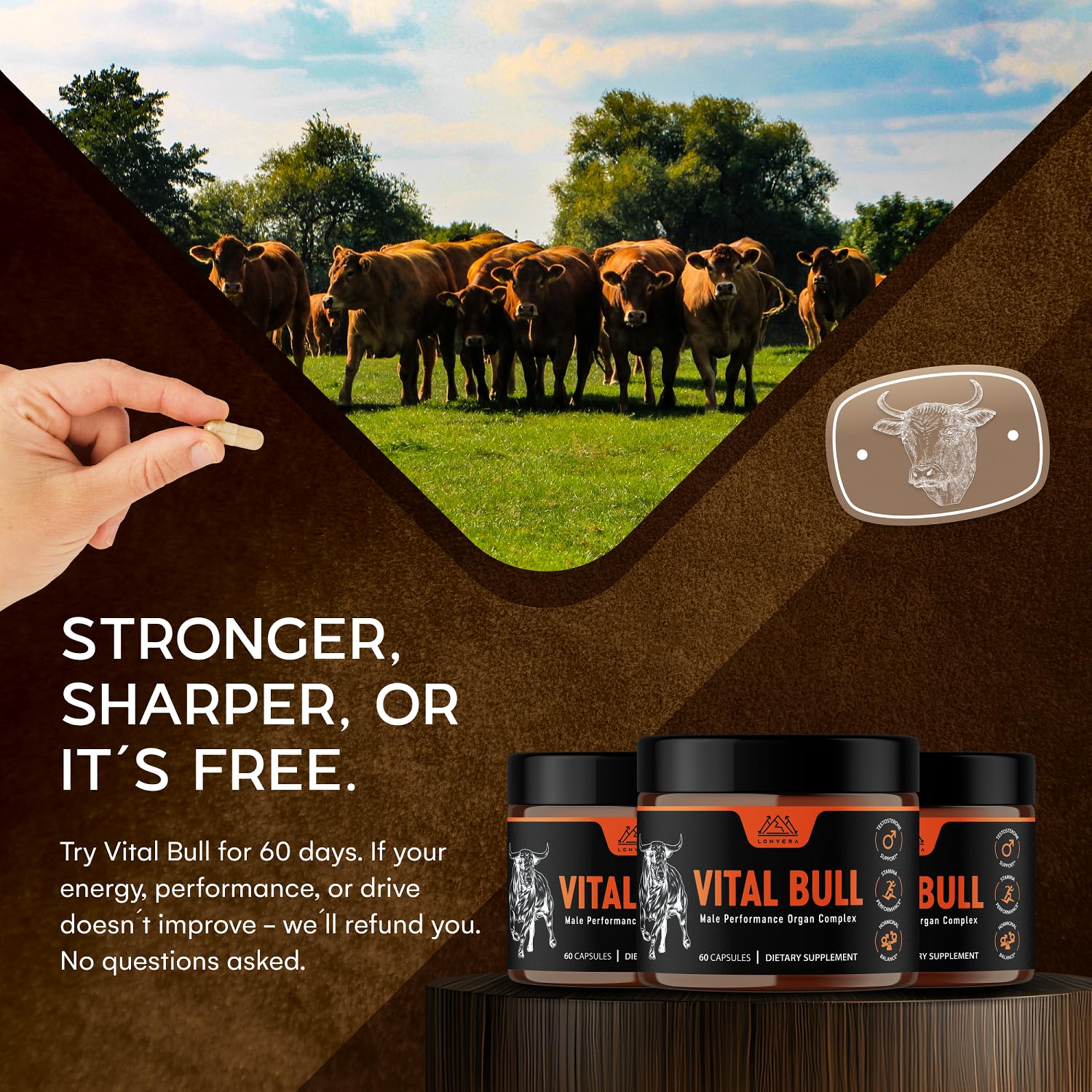Lonvera Vital Bull Beef Organ Supplement for Men – Grass-Fed Liver, Testicle, Prostate & Bone Marrow | 30 Day Supply - Image 3