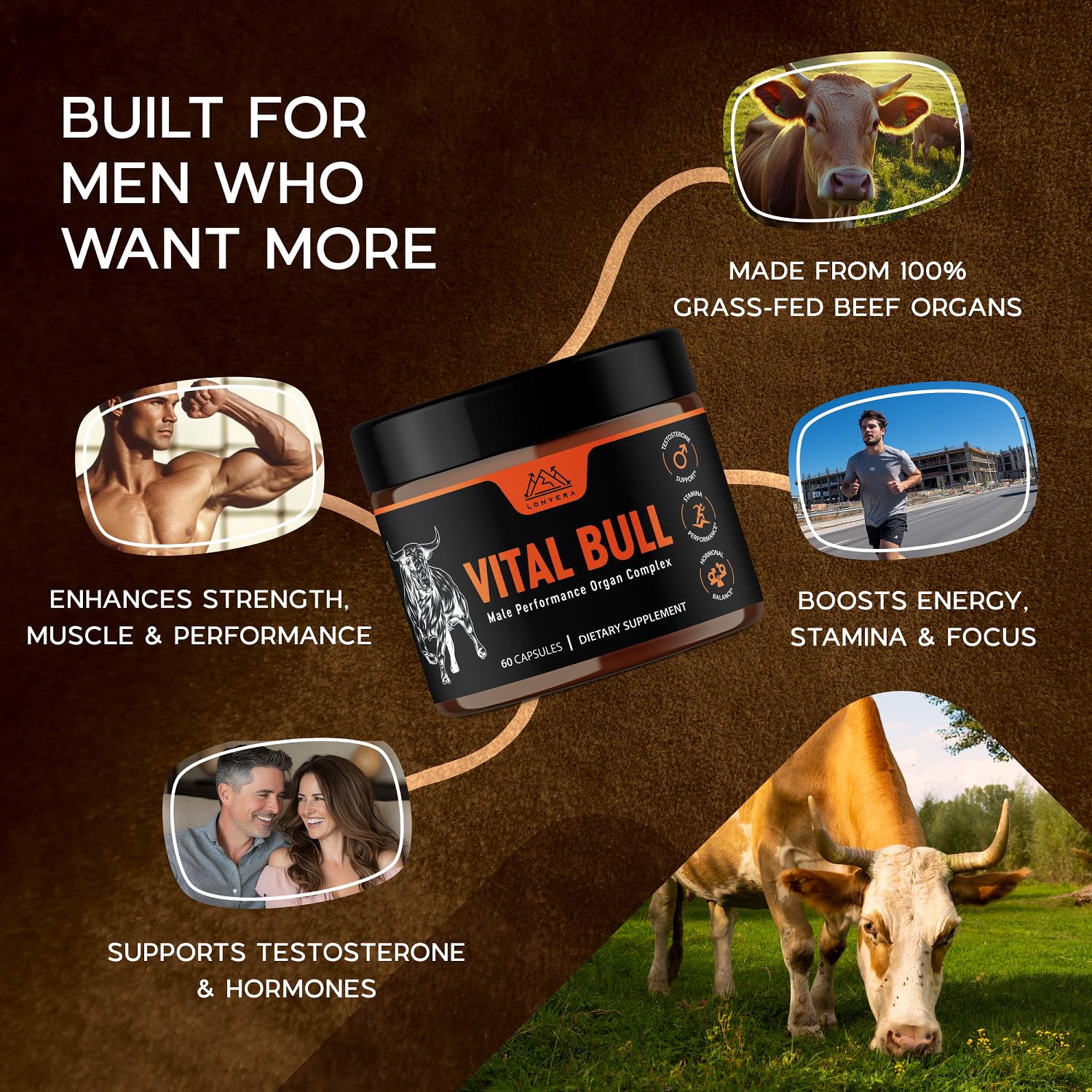 Lonvera Vital Bull Beef Organ Supplement for Men – Grass-Fed Liver, Testicle, Prostate & Bone Marrow | 30 Day Supply - Image 4