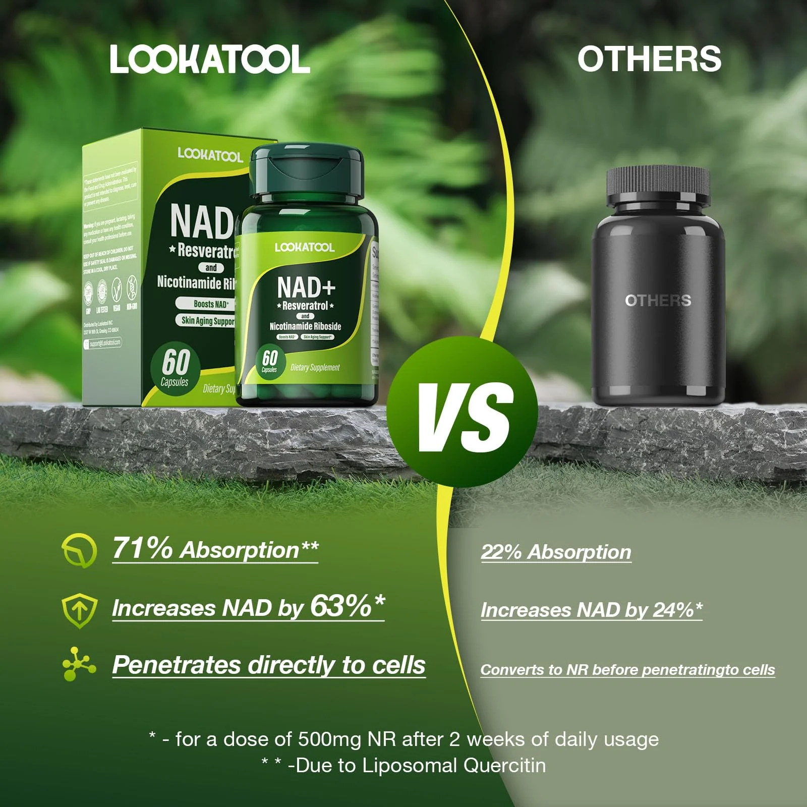 Lookatool NAD+ Resveratrol Liposomal Supplement – Anti-Aging, Focus & Energy (60 Caps) - Image 7
