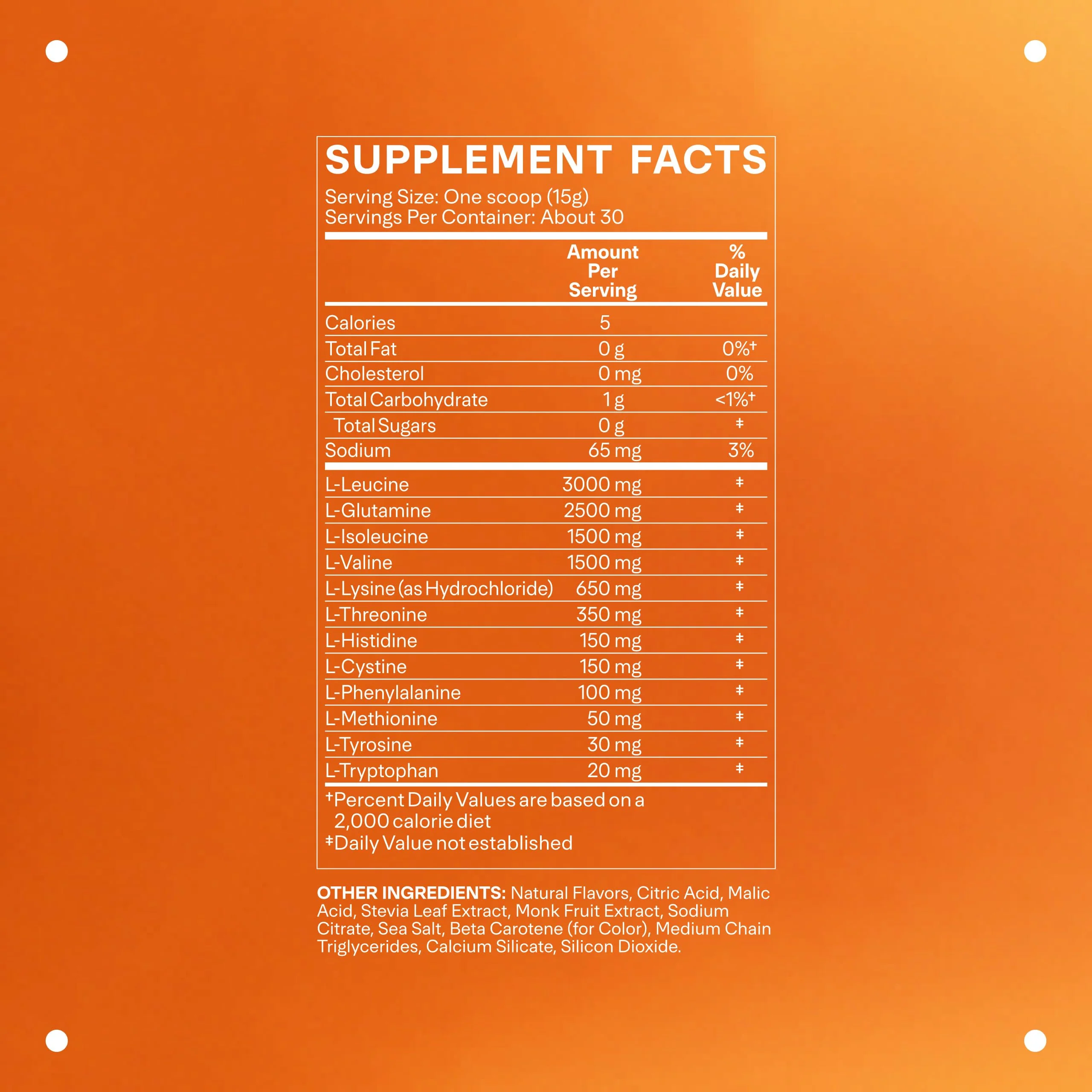 LTH Rally Amino Recovery – BCAA + L-Glutamine Powder (30 Servings) – Lemon Lime - Image 2