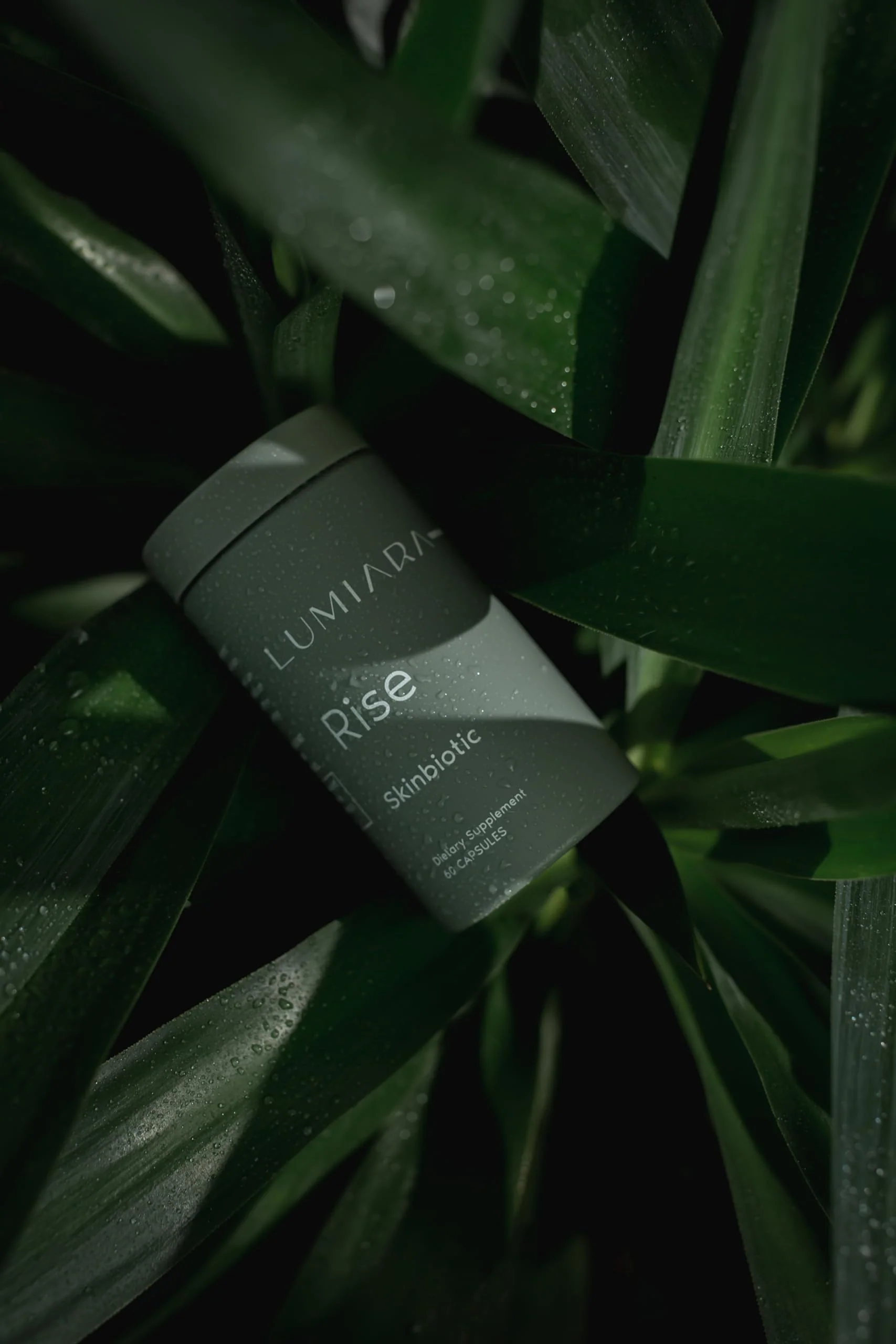 Lumiara Rise Skinbiotic – Plant-Based Collagen Booster for Gut & Skin Health - Image 2