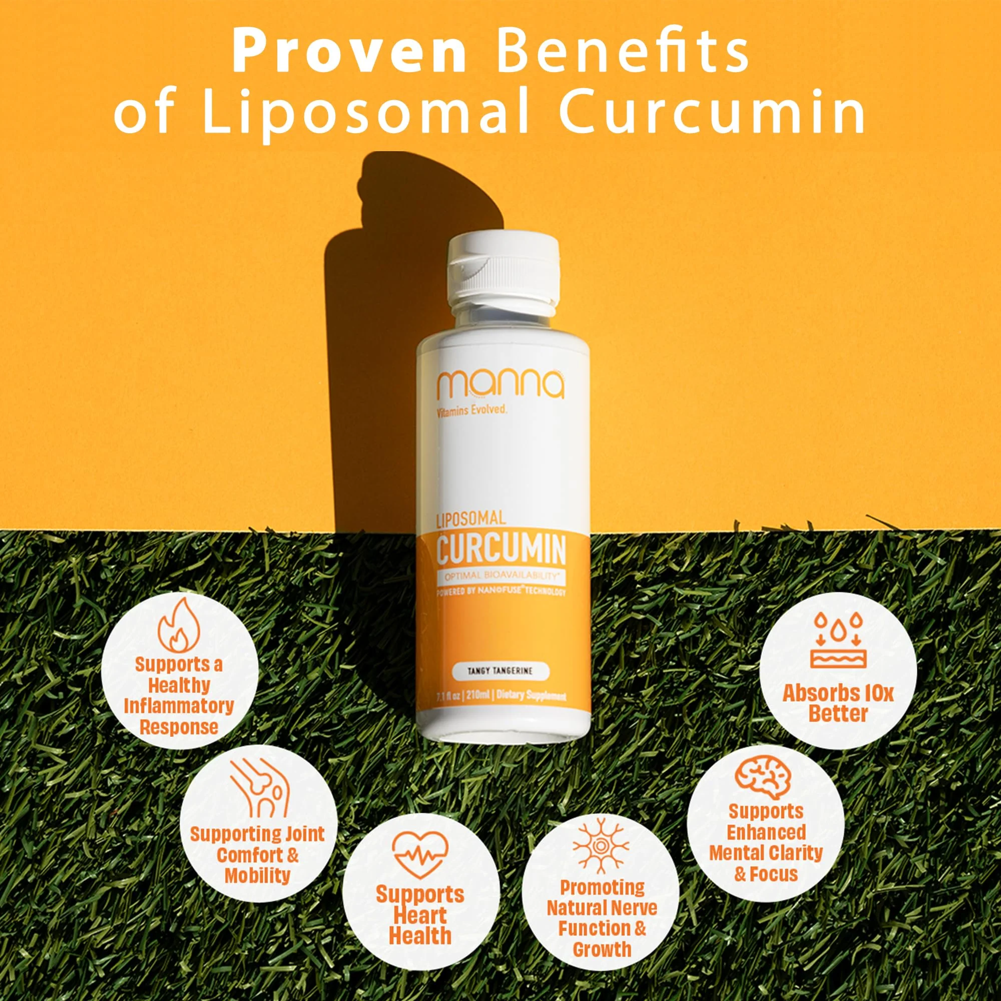 Manna Vitamins Evolved Liposomal Liquid Curcumin for Advanced Absorption – Daily Joint & Immune Health Support (3 Pack) – Vegan, Non-GMO, 95% Curcuminoids - Image 15