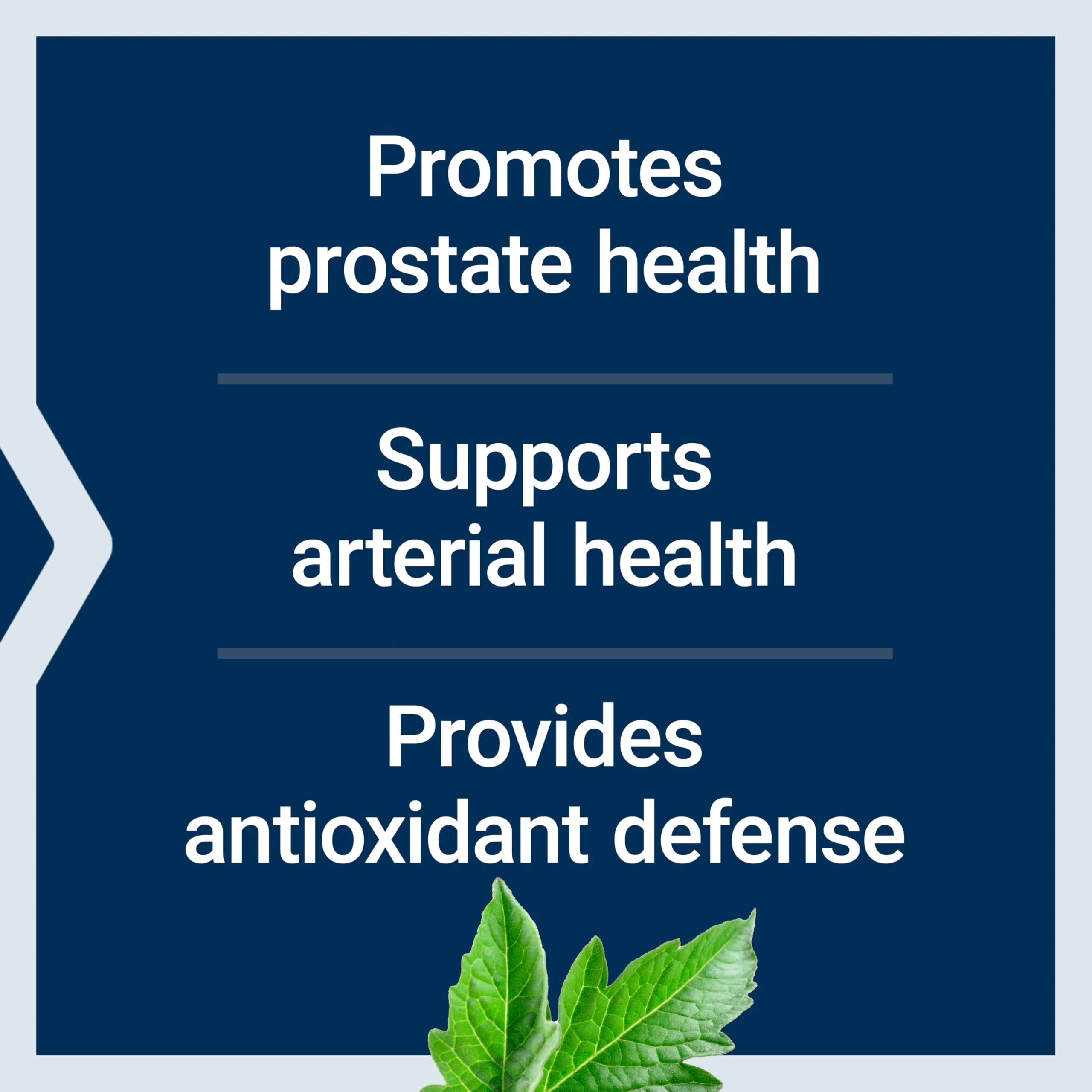 Mega Lycopene 90 Softgels – Prostate & Arterial Health, Non-GMO, Gluten-Free - Image 4
