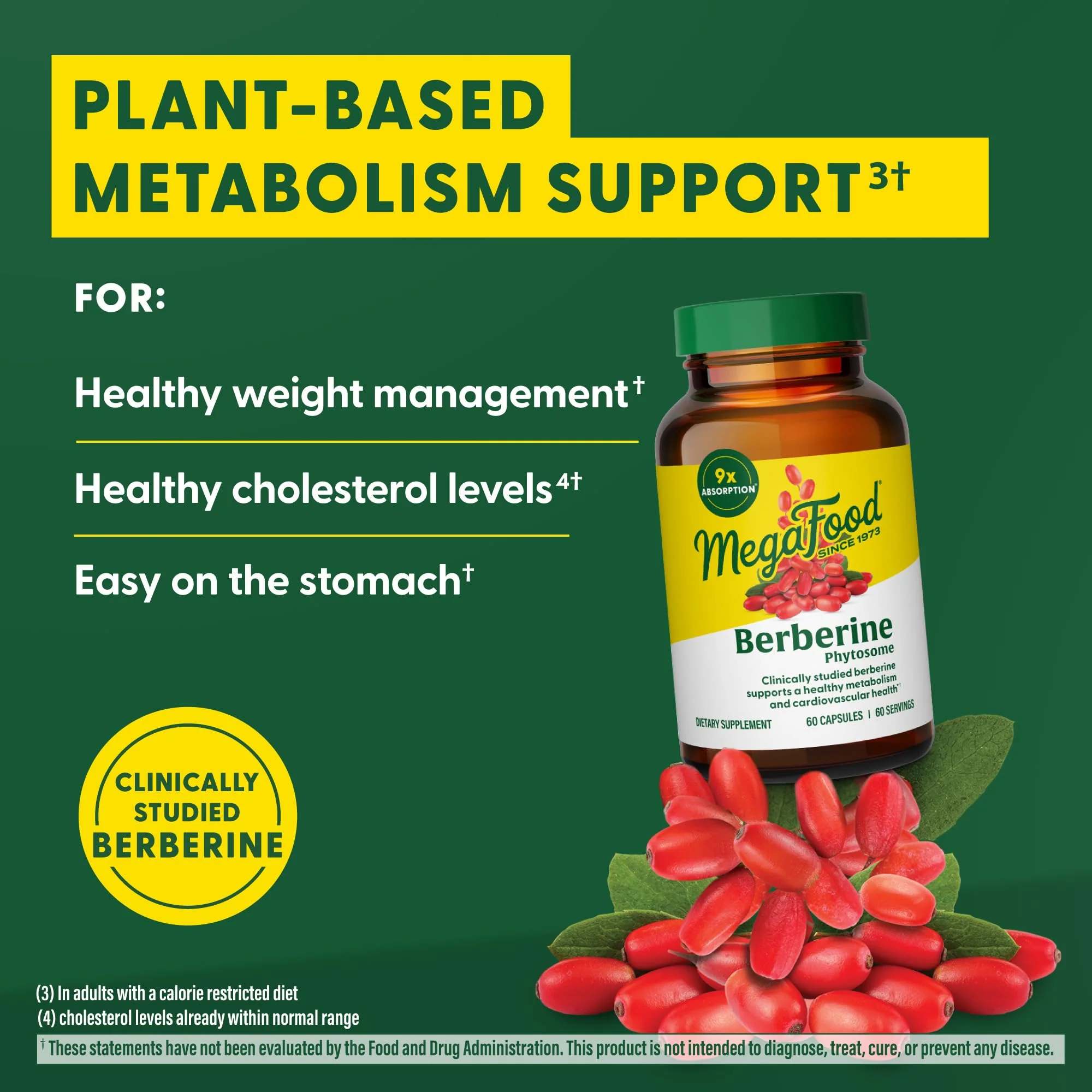 MegaFood Berberine Phytosome 550 mg per Serving | 60 Capsules | 9x Absorption | Vegan - Image 3