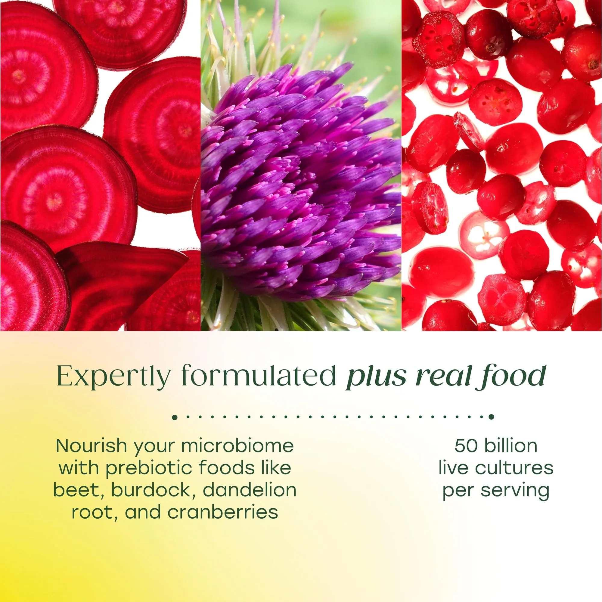 MegaFood MegaFlora Probiotics for Women – 50B CFU, 14 Strains, Cranberry, 90 Veg Capsules - Image 11