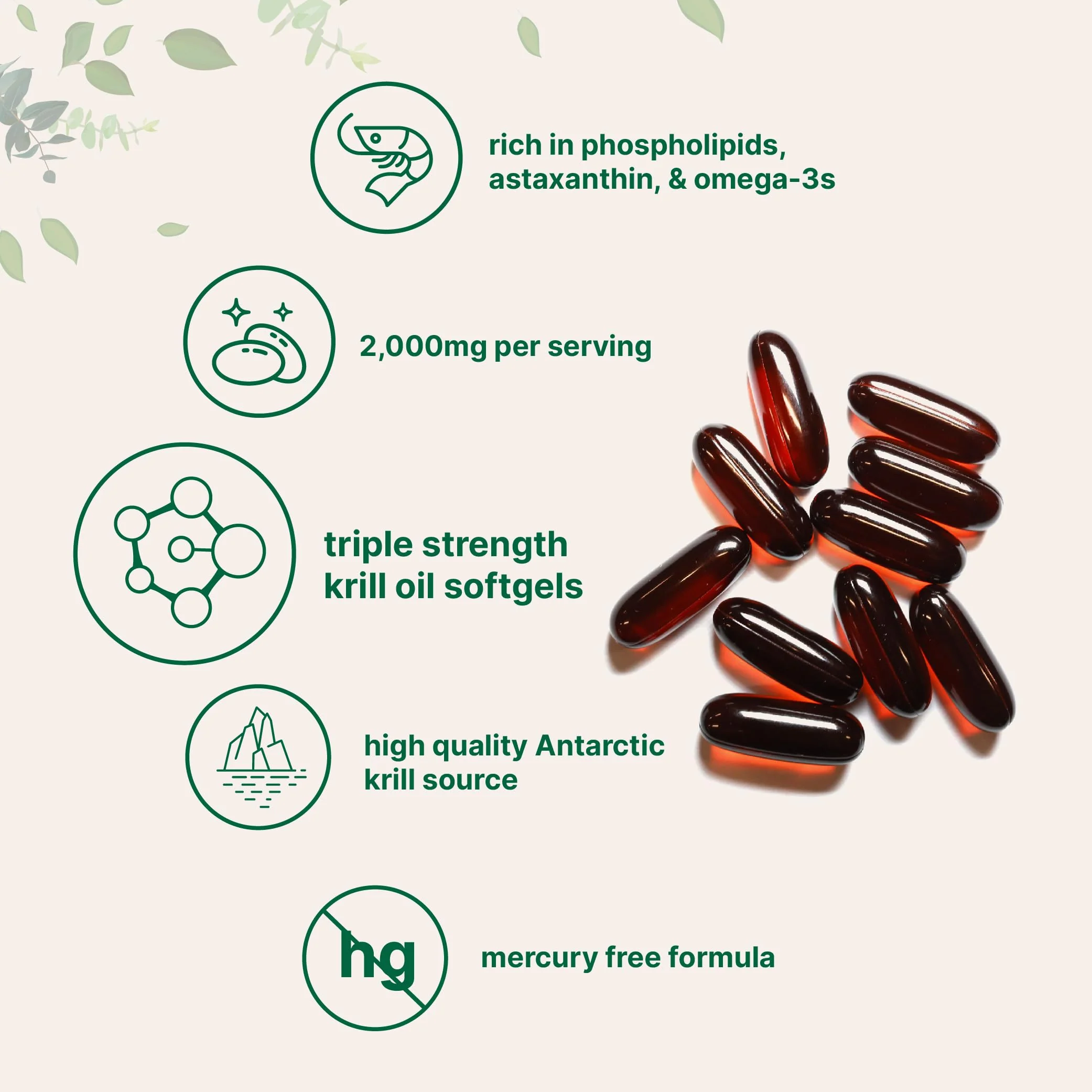 Micro Ingredients Antarctic Krill Oil - 2000mg/Serving, 240 Softgels, Omega-3 EPA/DHA & Astaxanthin - Image 4