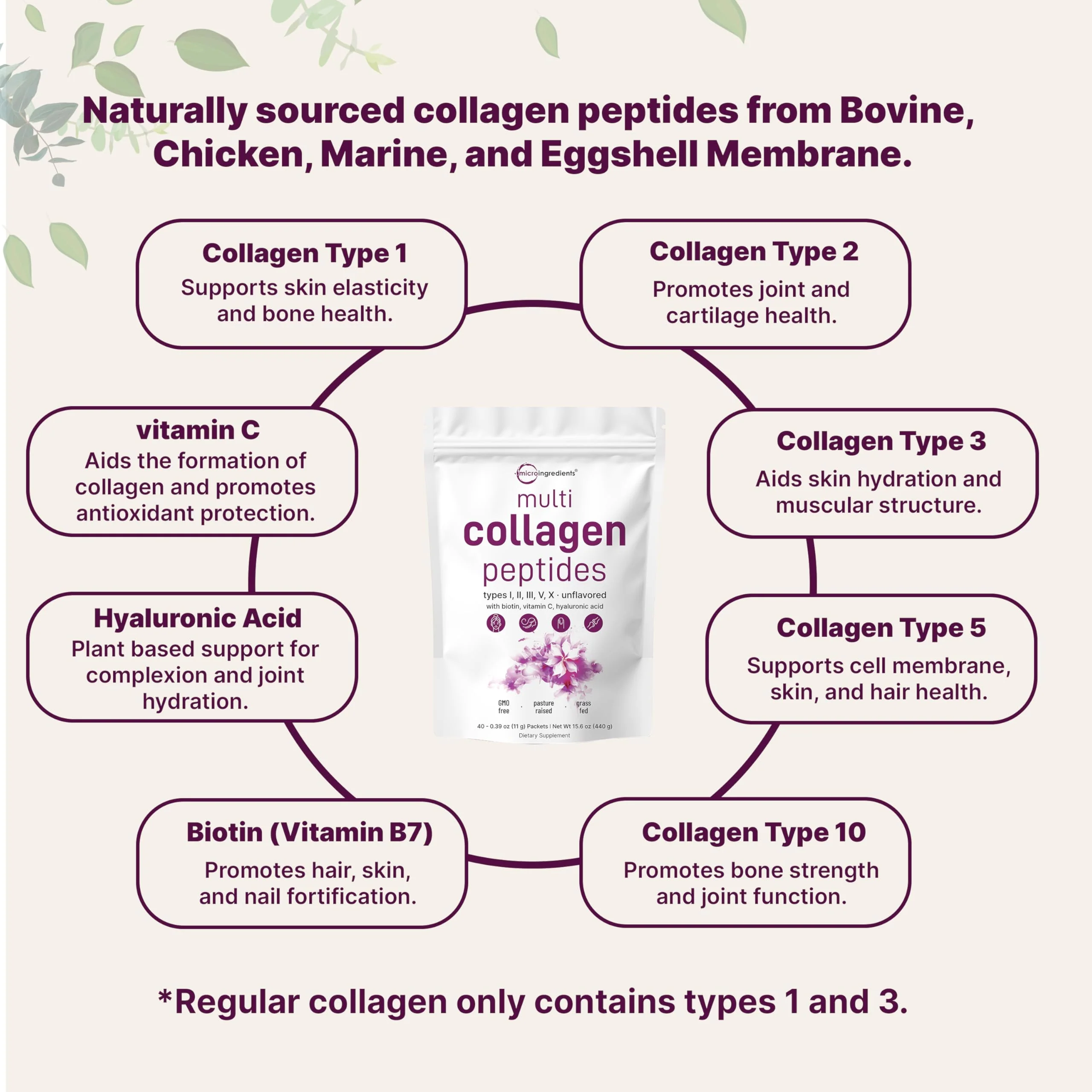 Micro Ingredients Multi Collagen Peptides Powder - 40 Stick Packs | Unflavored | Type I–X + Biotin, Vitamin C & Hyaluronic Acid | Keto & Non-GMO - Image 4
