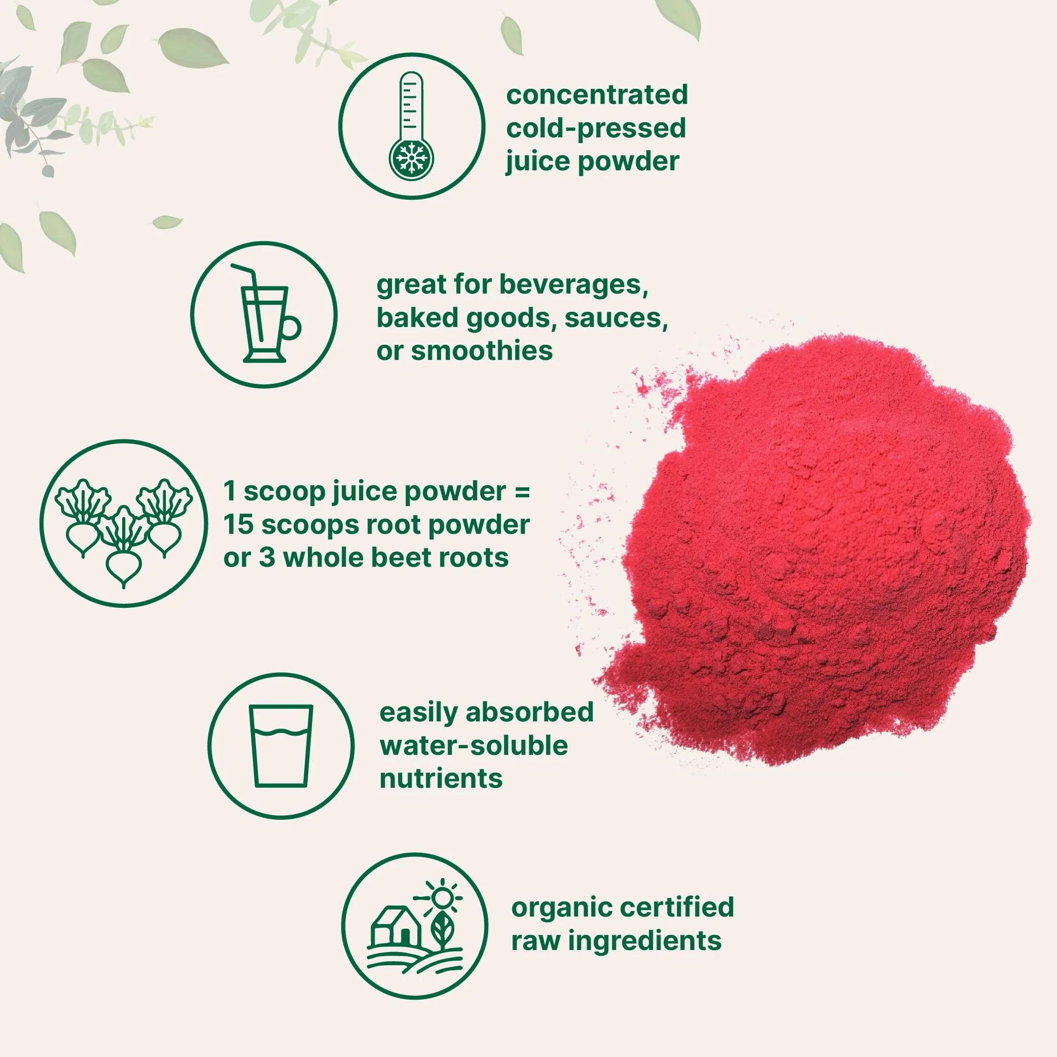 Micro Ingredients Organic Beet Root Powder - 1 lb, Cold-Pressed & Water-Soluble, Non-GMO - Image 4