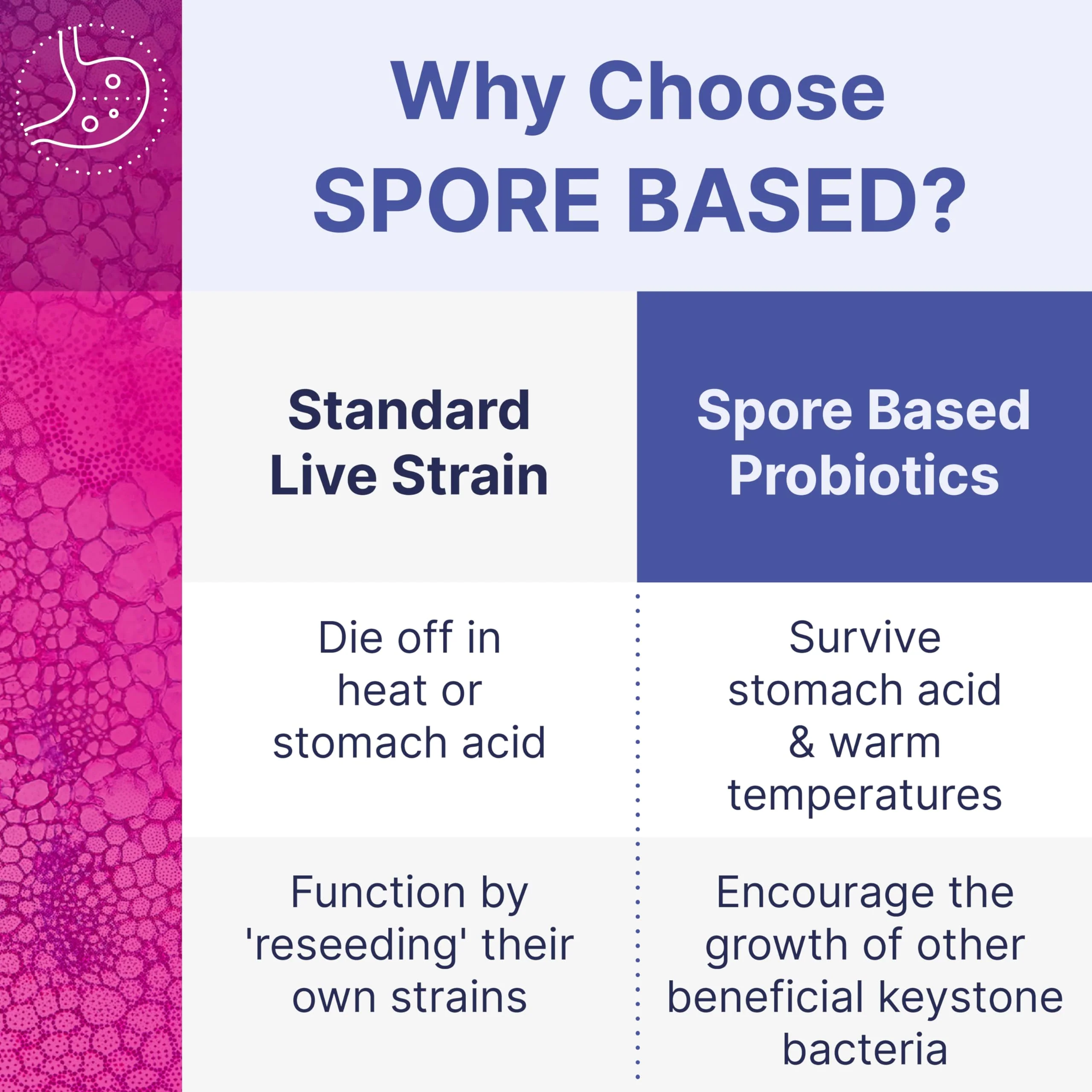 Microbiome Labs MegaSporeBiotic Probiotics for Women & Men - Spore-Based Digestive Health (60 Capsules) - Image 4