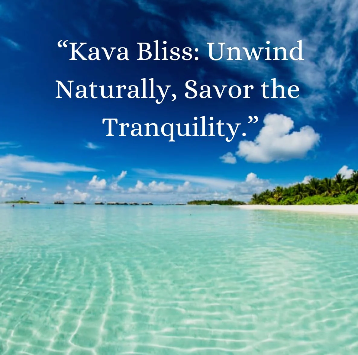 Micronized Instant Kava Powder - Solomon Kava (4 oz) | Noble Certified - Image 7