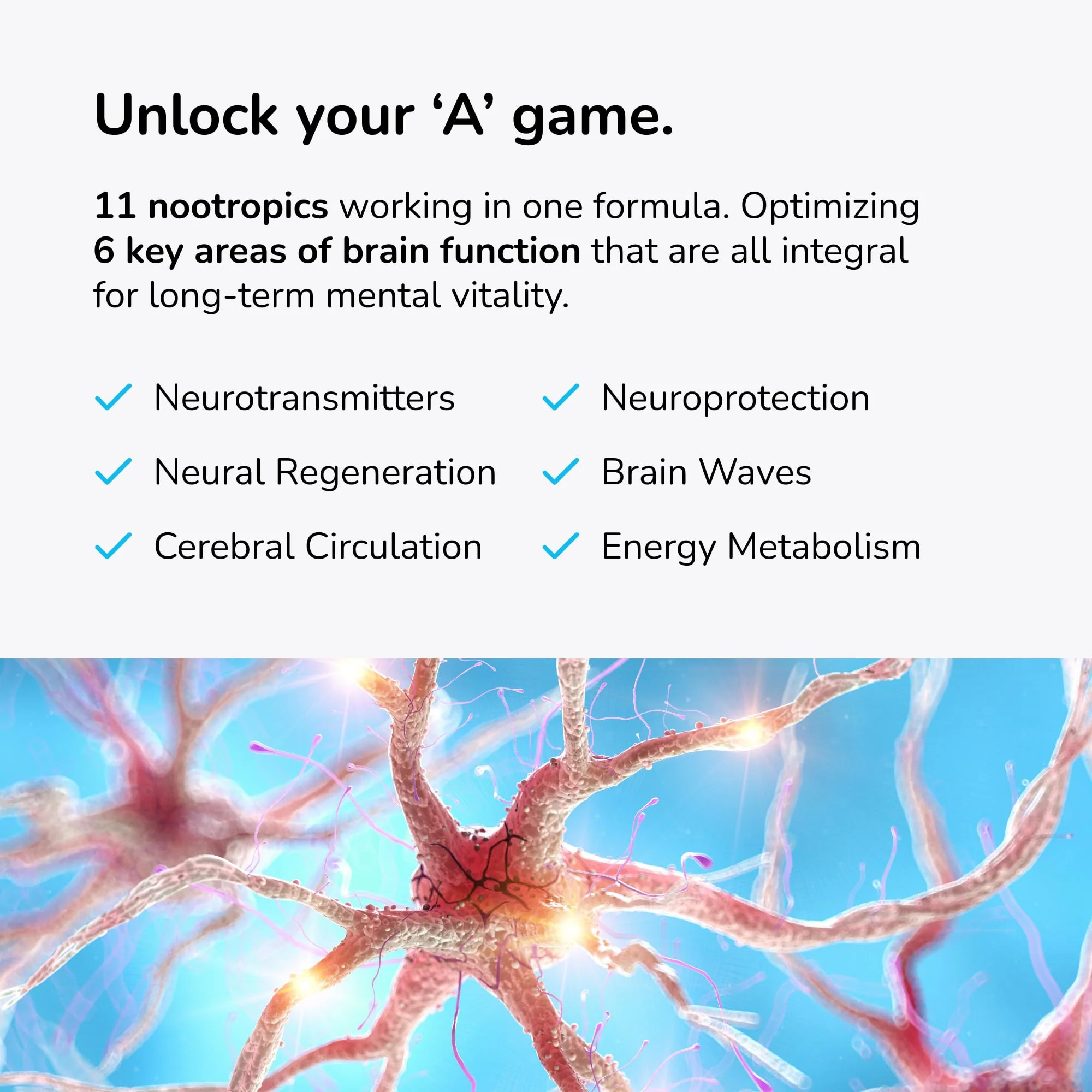 Mind Lab Pro MLP v4 Universal Nootropic – Focus, Memory, Clarity, Energy – 60 Count, Plant-Based, Made in USA - Image 12