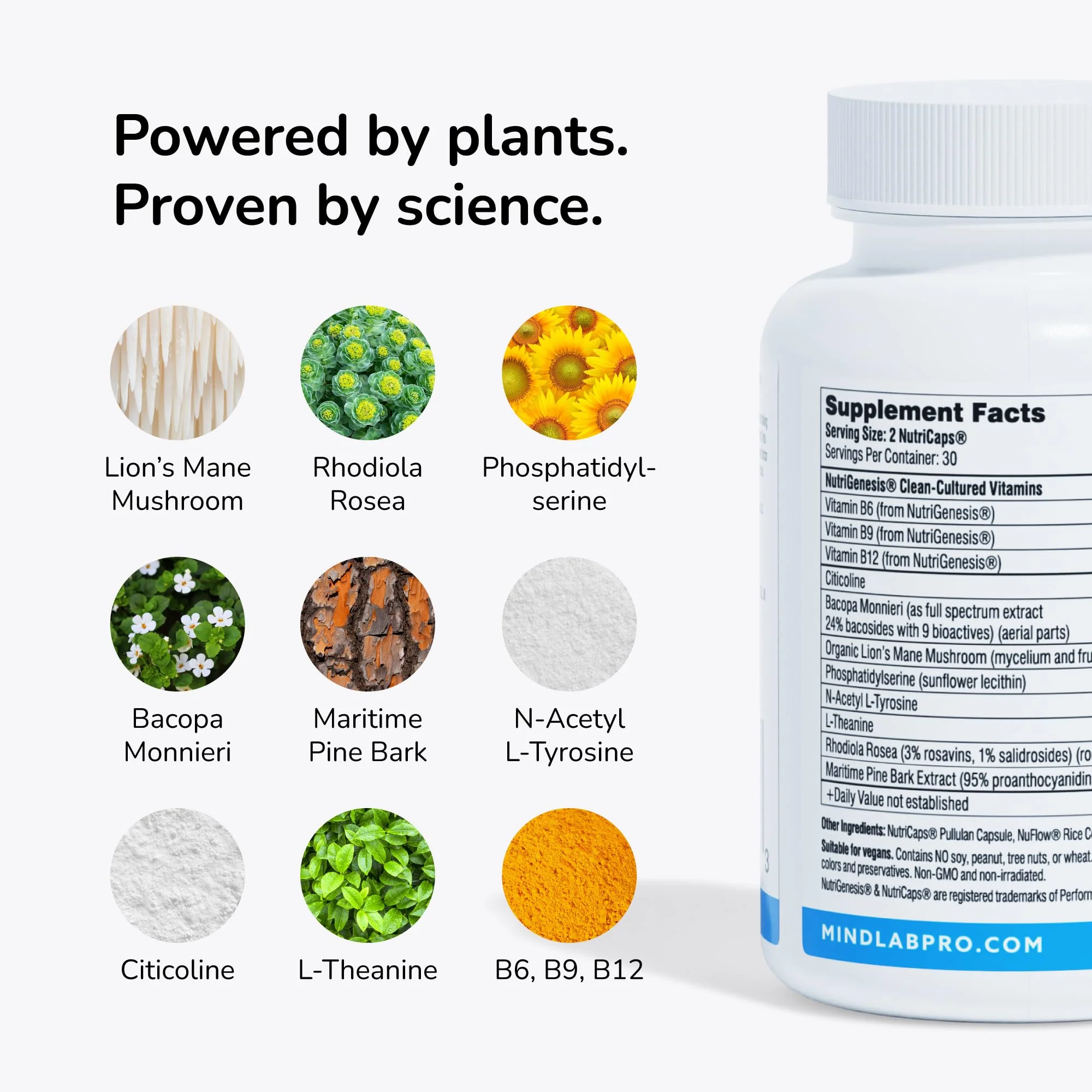 Mind Lab Pro MLP v4 Universal Nootropic – Focus, Memory, Clarity, Energy – 60 Count, Plant-Based, Made in USA - Image 17
