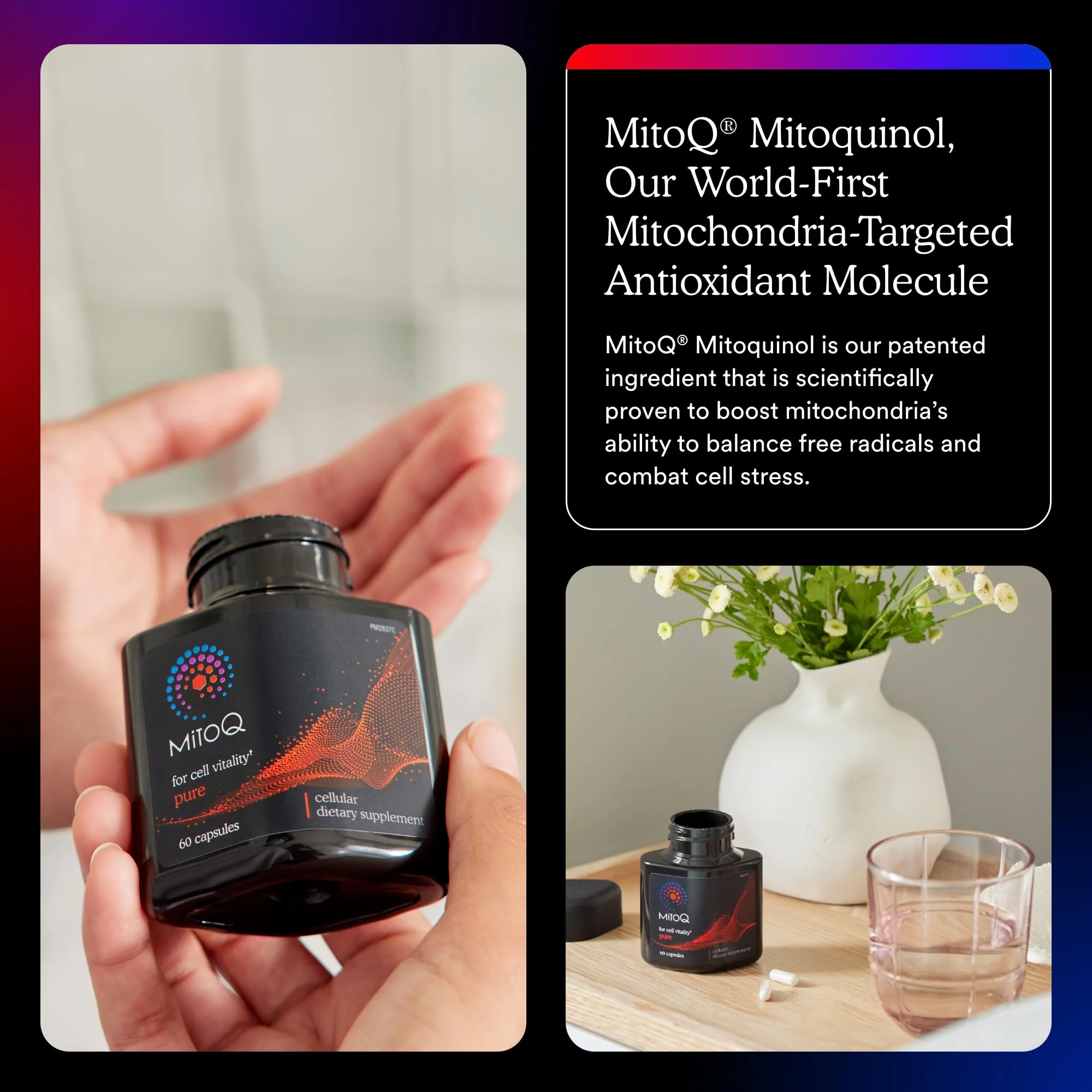 MitoQ Pure Advanced Mitochondria Supplement | Superior Bioavailability for Healthy Aging, Energy, Heart Health & Mobility - Image 6