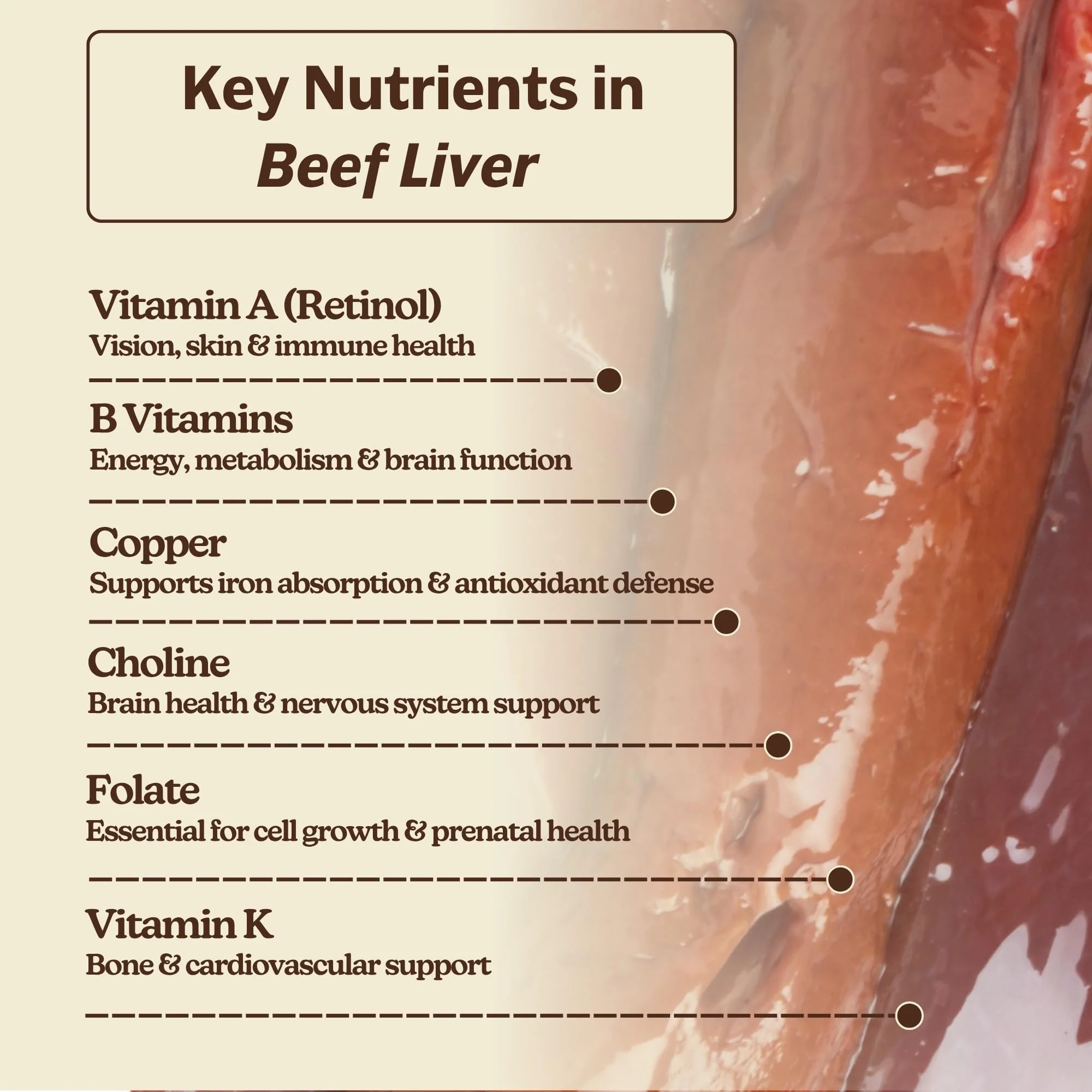MK Supplements Grass Fed Beef Liver Supplement – Energy, Digestion & Immunity – Non-GMO, Freeze-Dried, 30 Servings - Image 6