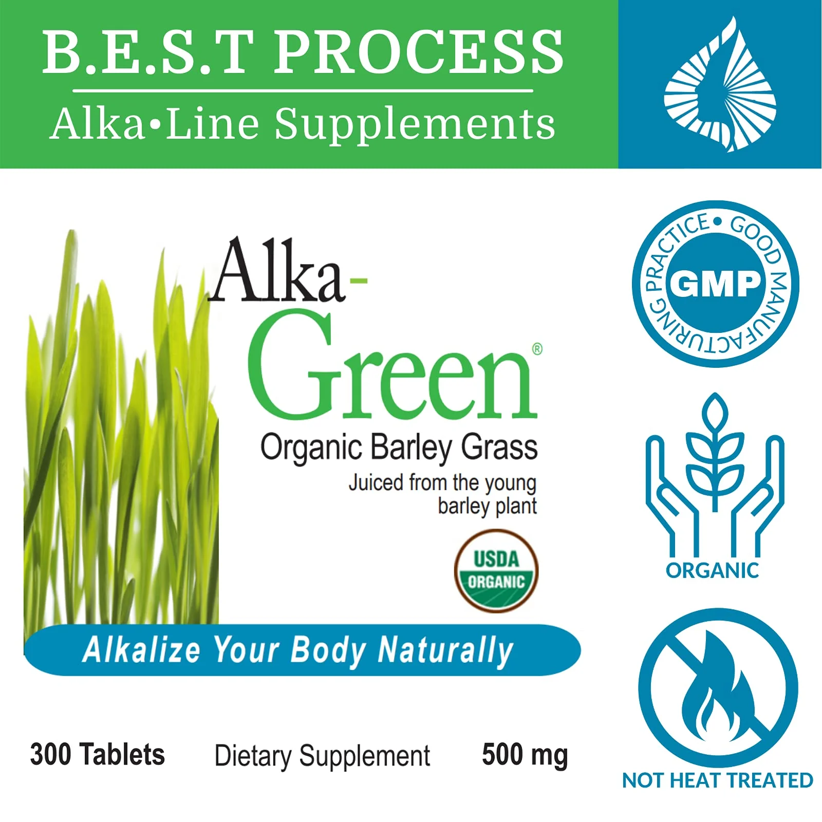Morter HealthSystem AlkaGreen Tablets - Alkaline Barley Grass - Image 2