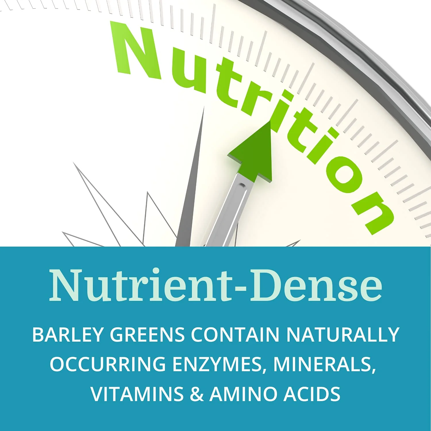 Morter HealthSystem AlkaGreen Tablets - Alkaline Barley Grass - Image 6