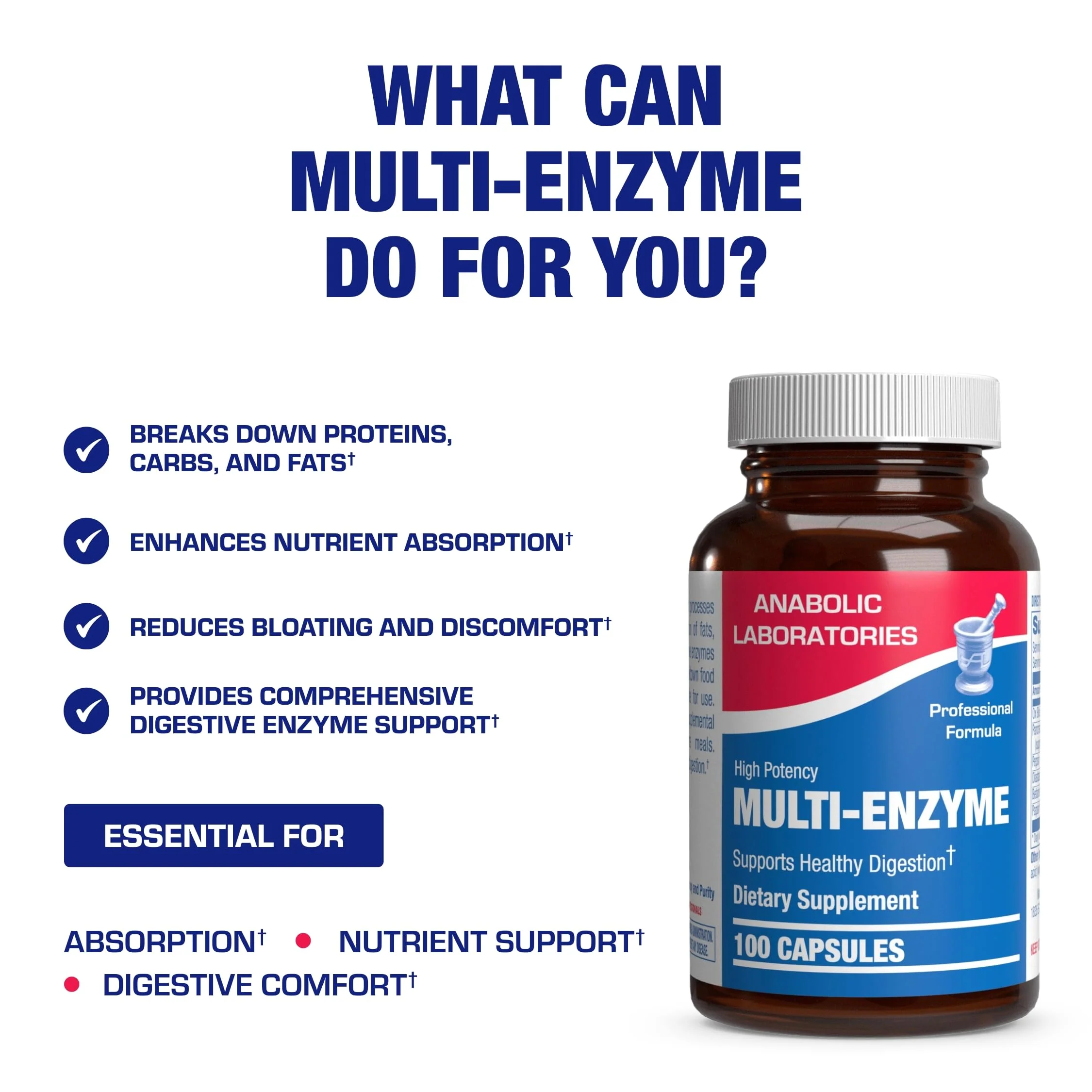 Multi Digestive Enzymes with Ox Bile – Clinical Strength Pancreatic Enzymes for Protein, Carbs & Fat - Image 5