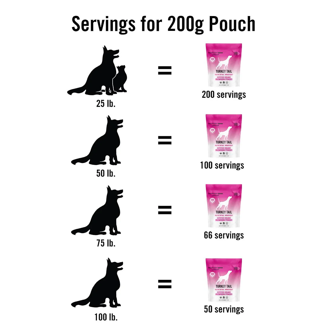 Mushroom Matrix Turkey Tail Powder for Pets – Immune Support for Dogs & Cats (200 g) - Image 4