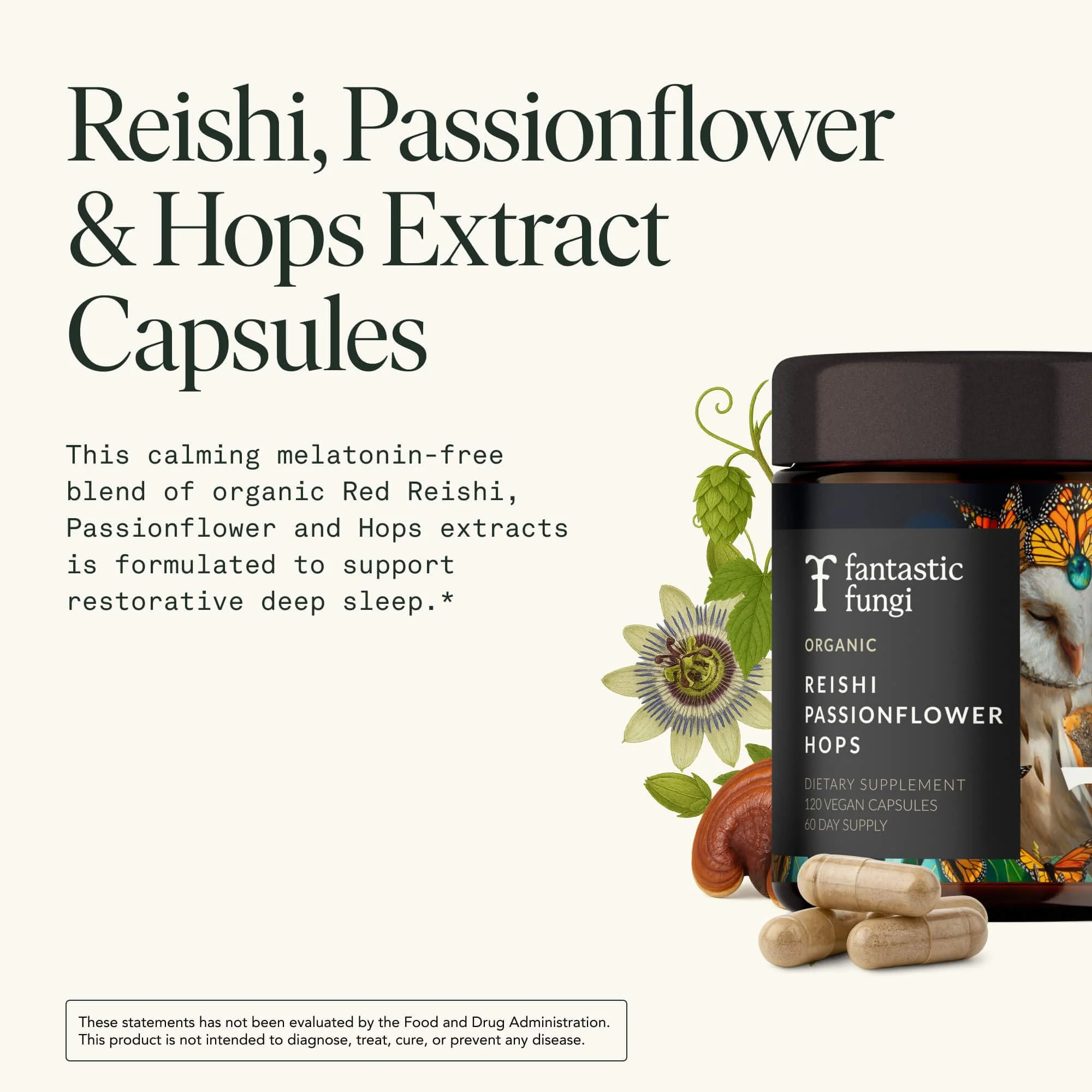 Mushroom Sleep Supplement — Reishi, Passionflower & Hops | 100% USDA Organic, Vegan, 120 Caps - Image 4