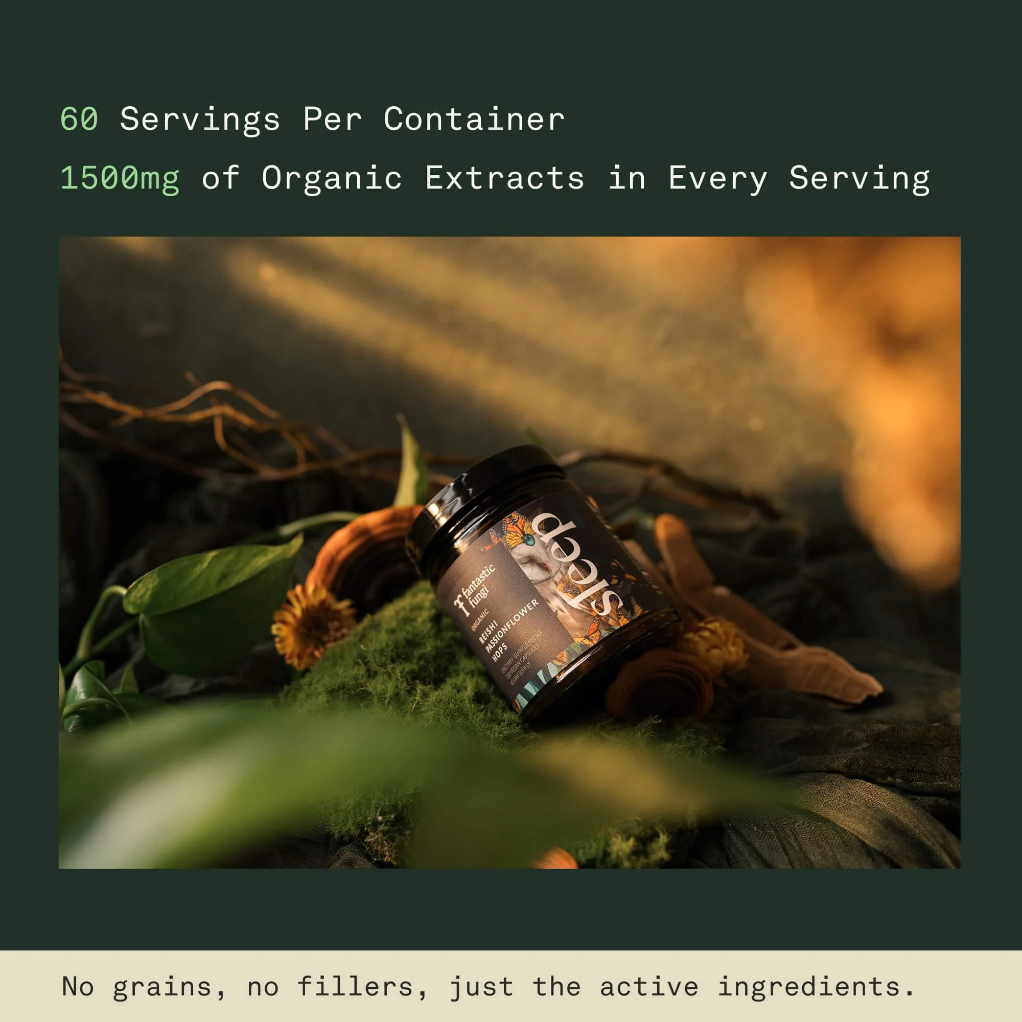Mushroom Sleep Supplement — Reishi, Passionflower & Hops | 100% USDA Organic, Vegan, 120 Caps - Image 5