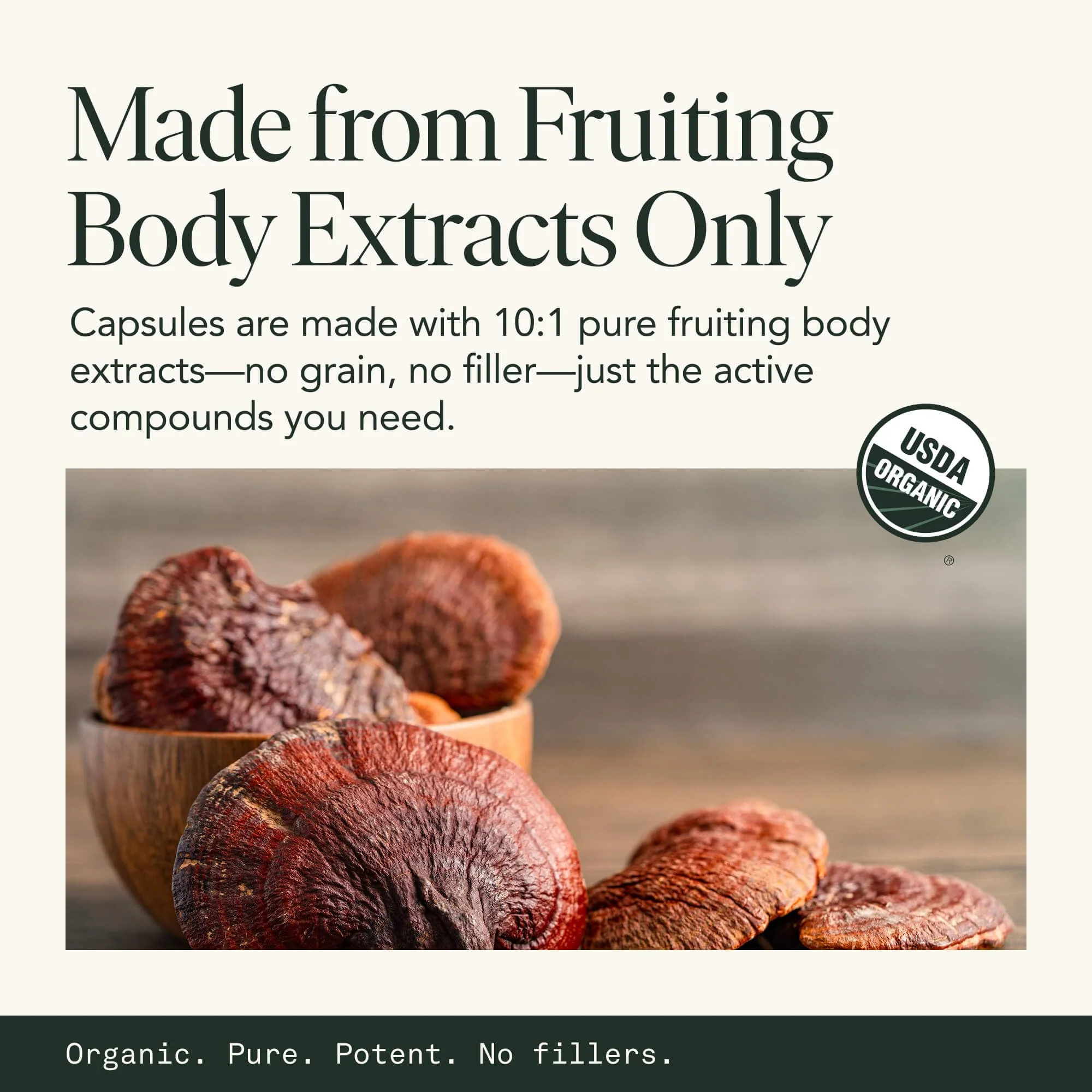 Mushroom Sleep Supplement — Reishi, Passionflower & Hops | 100% USDA Organic, Vegan, 120 Caps - Image 7