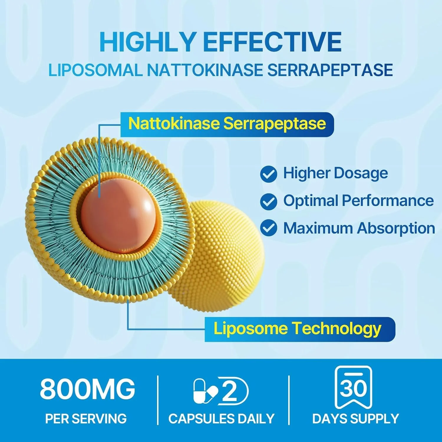 Naering Liposomal Nattokinase 12,000 FU + Serrapeptase 360,000 SPU – 60 Capsules (2 Bottles) - Image 4