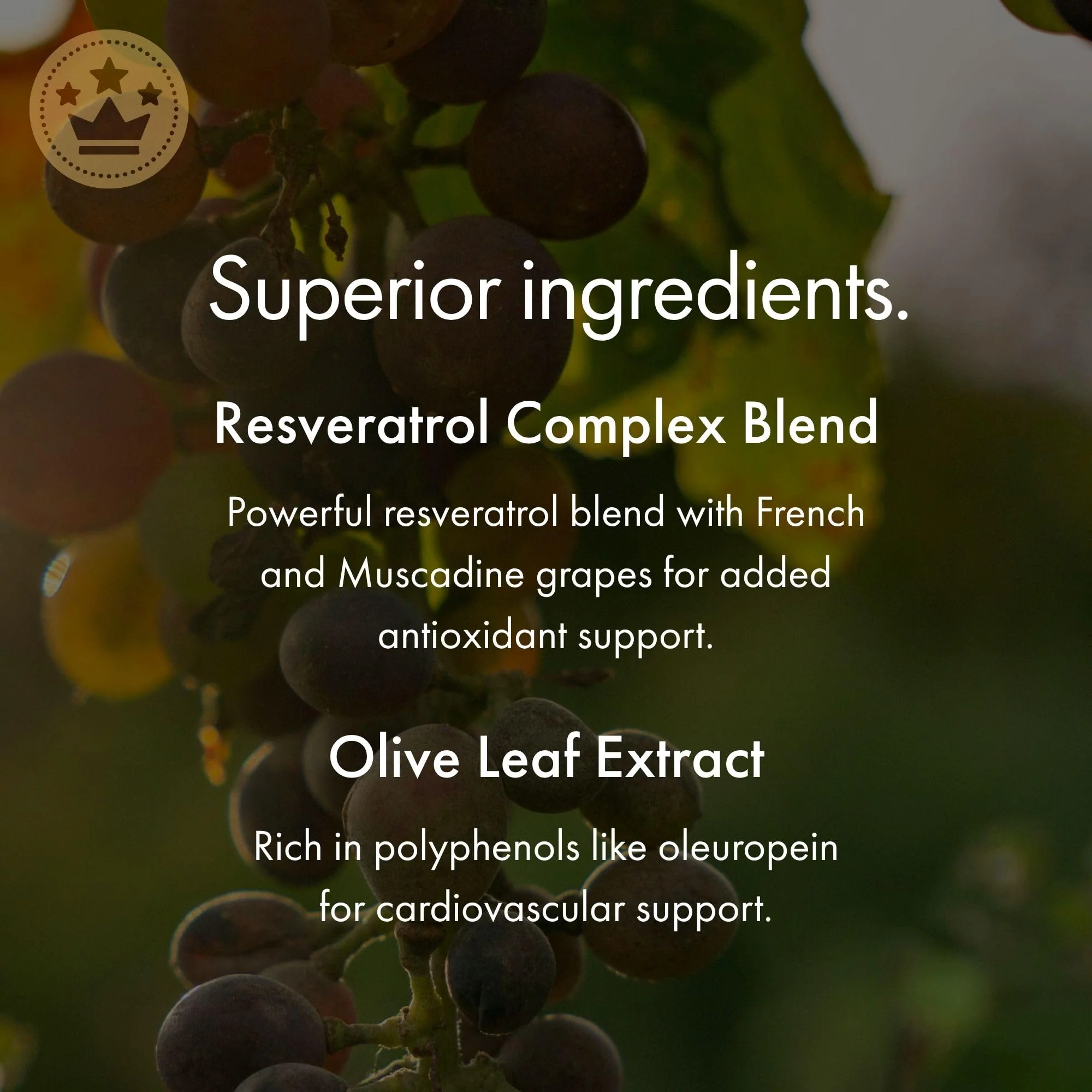 NAOMI Italian Citrus Bergamot 500mg + Resveratrol – 7 Polyphenols, 30-Day Supply - Image 7