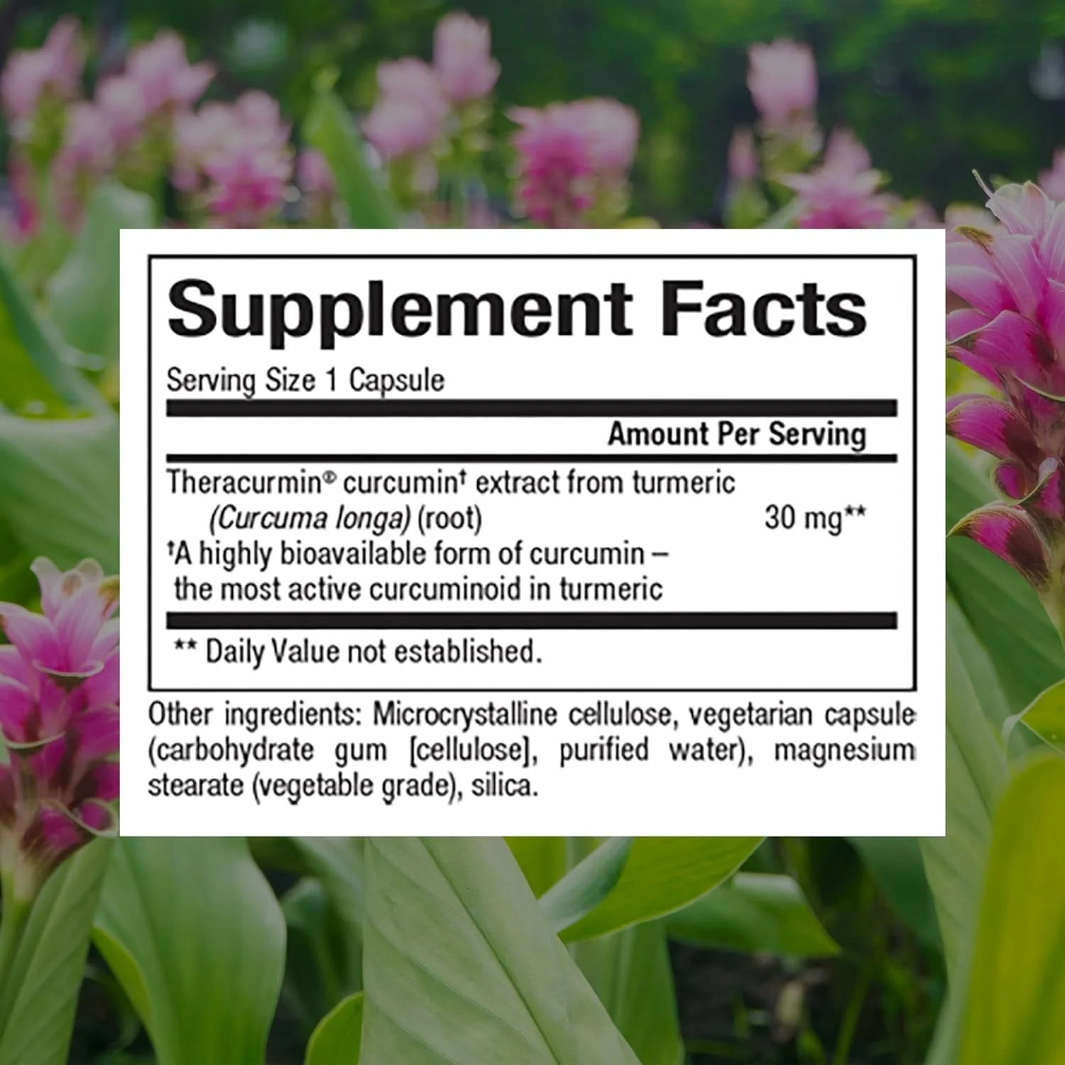 Natural Factors CurcuminRich Theracurmin 30 mg — Superior Absorption, 120 Count - Image 2