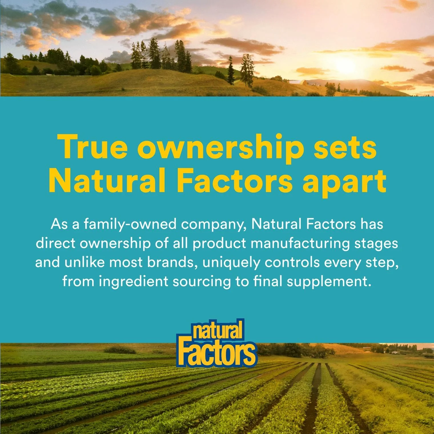 Natural Factors Glutathione LipoMicel Matrix 300 mg – 90 Softgels - Image 7