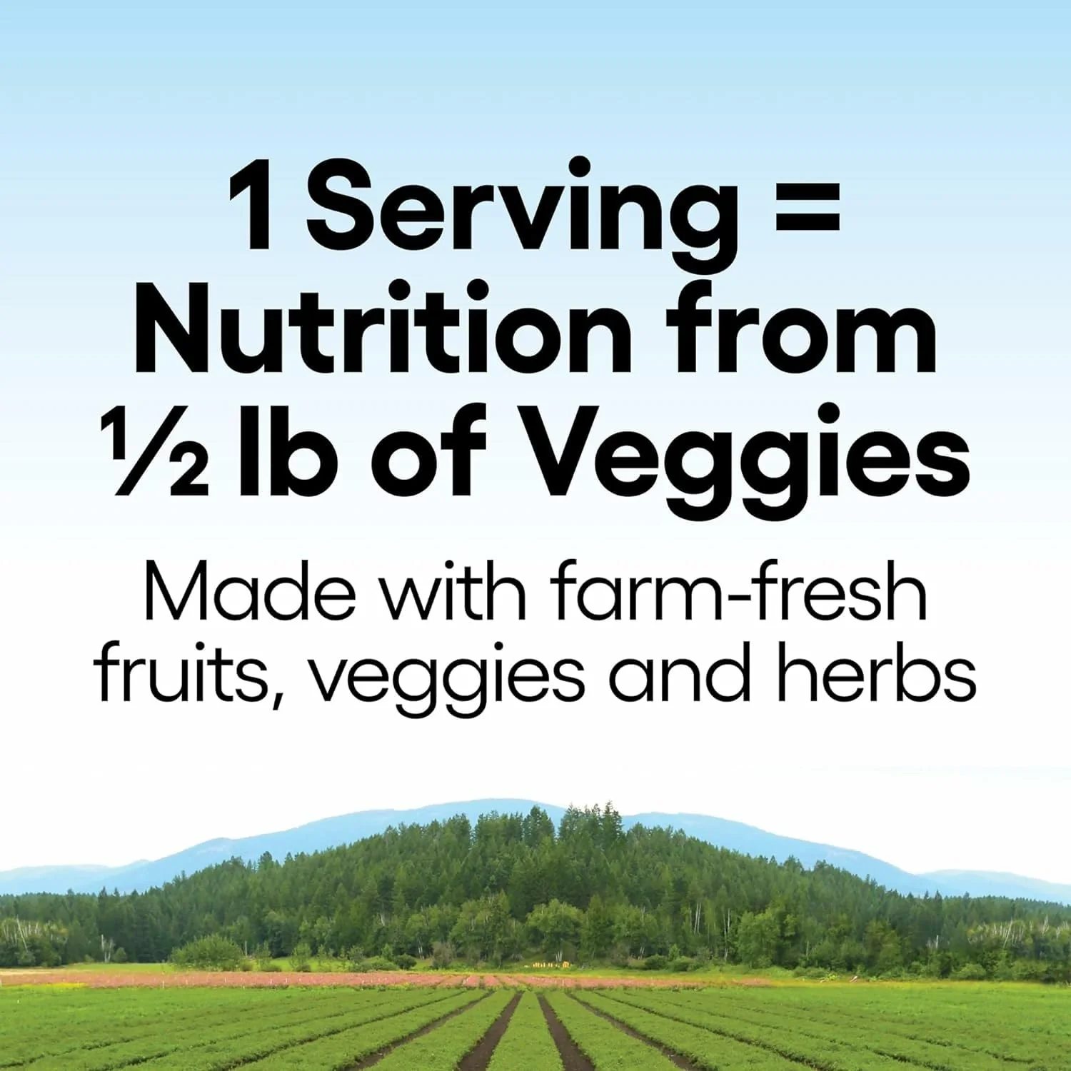 Natural Factors Men's 50+ Multivitamin & Mineral – 60 Count (Pack of 1) | ½ lb Veggies Nutrition - Image 3