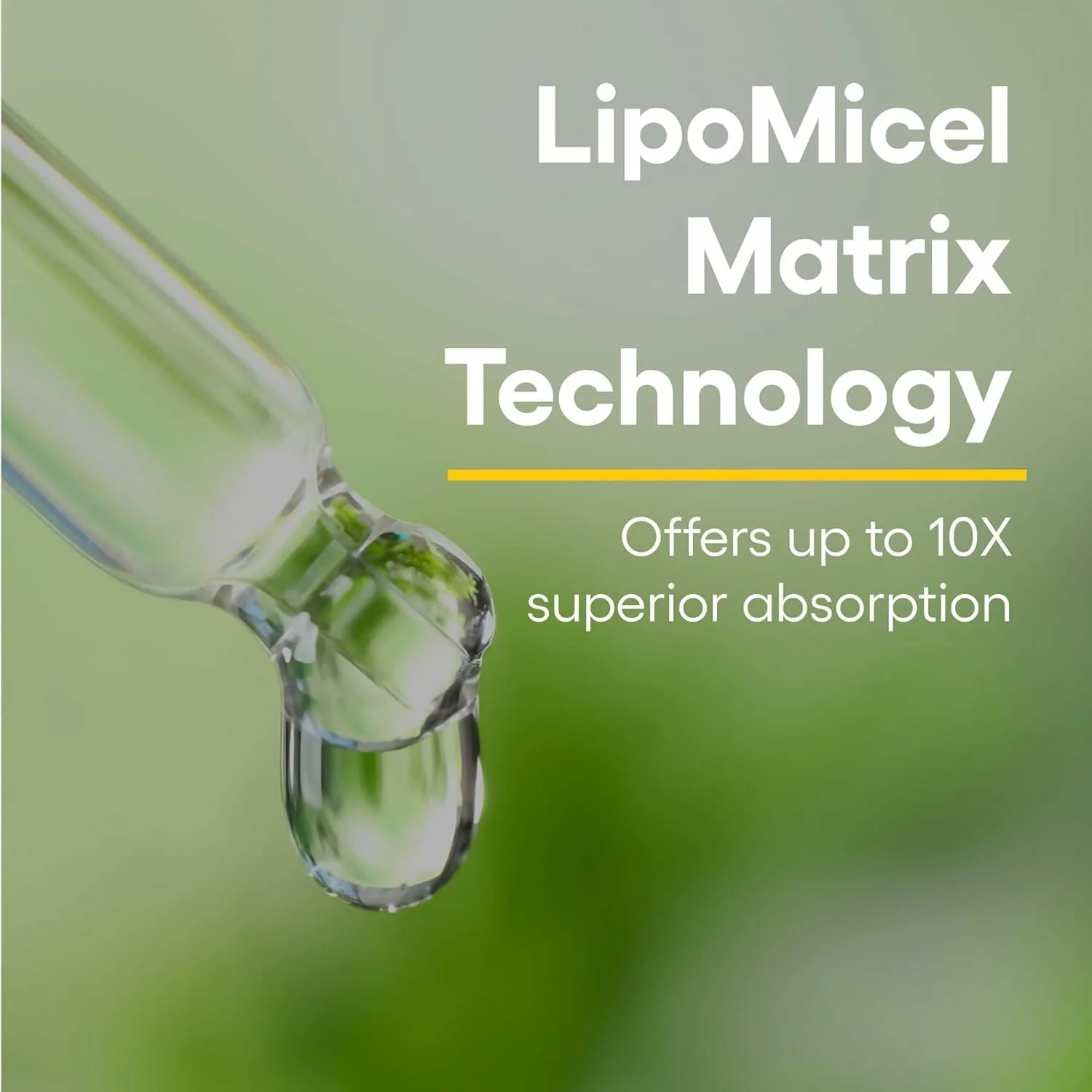 Natural Factors Quercetin Lipomicel Matrix — Immune & Capillary Support - Image 12