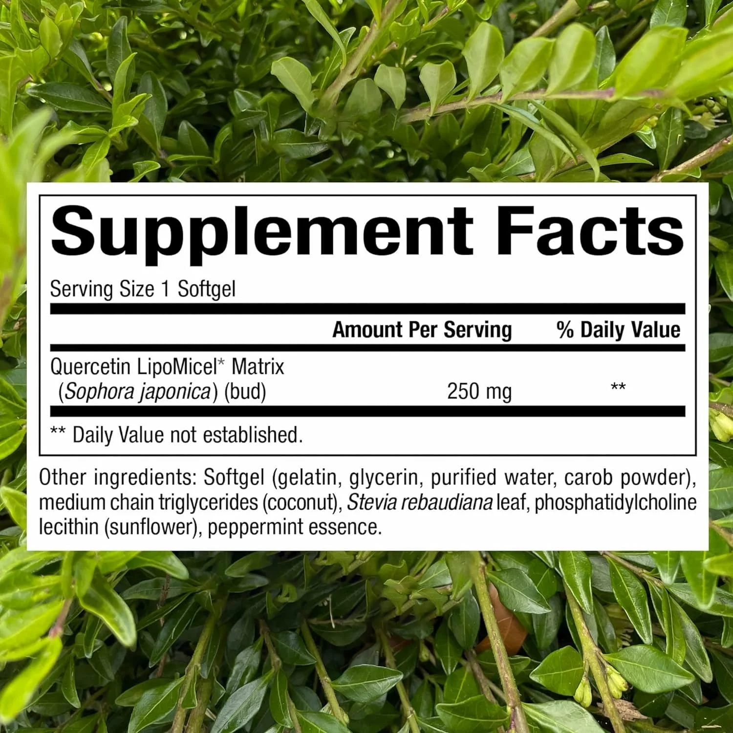 Natural Factors Quercetin Lipomicel Matrix — Immune & Capillary Support - Image 2