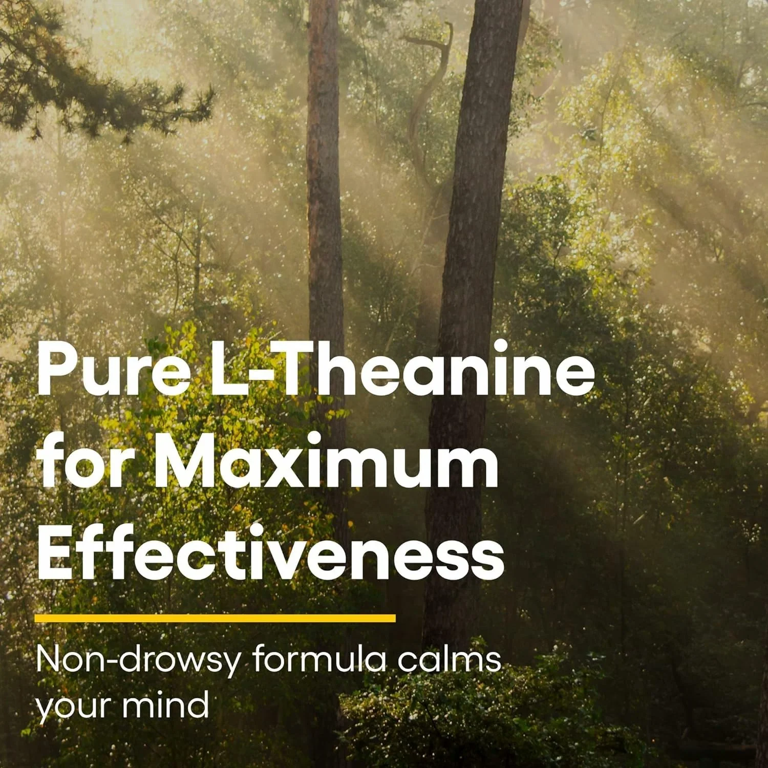 Natural Factors Suntheanine L-Theanine 100 mg – Calm Outlook & Sleep Support | 120 Chewable Tablets (60 Servings) - Image 3