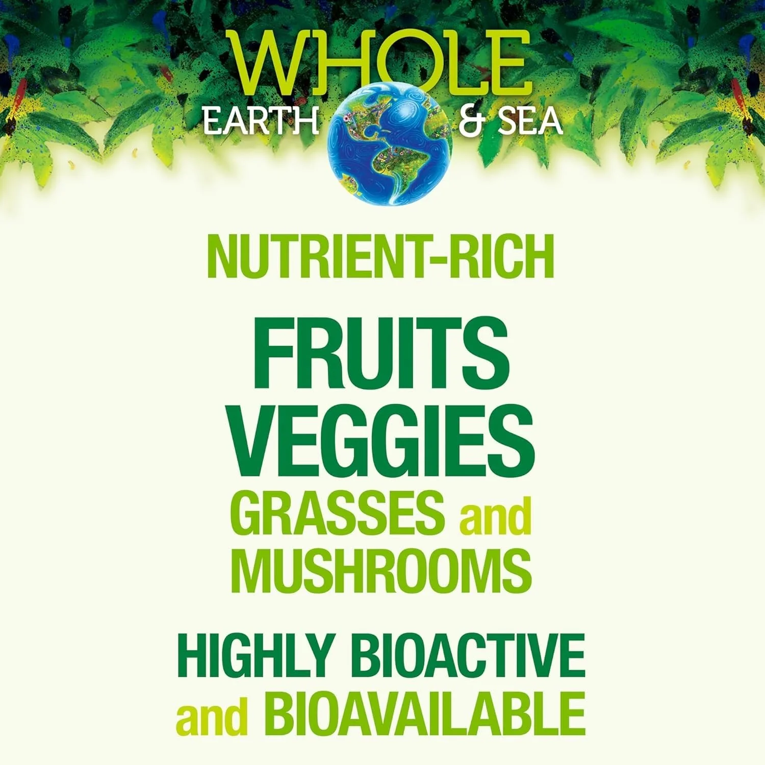 Natural Factors Whole Earth & Sea Organic Fermented Greens Chocolate – Vegan, 15.5 oz - Image 14
