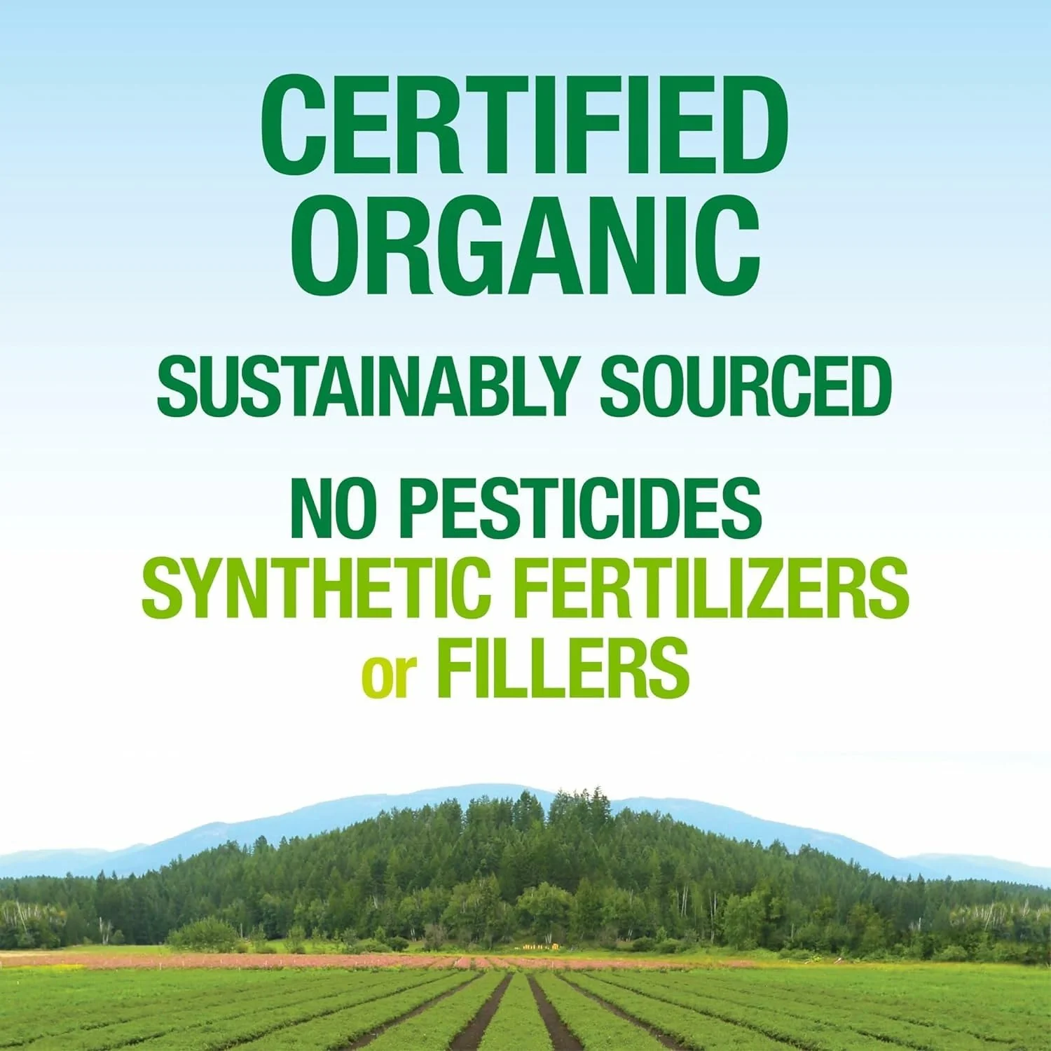 Natural Factors Whole Earth & Sea Organic Fermented Greens Chocolate – Vegan, 15.5 oz - Image 15