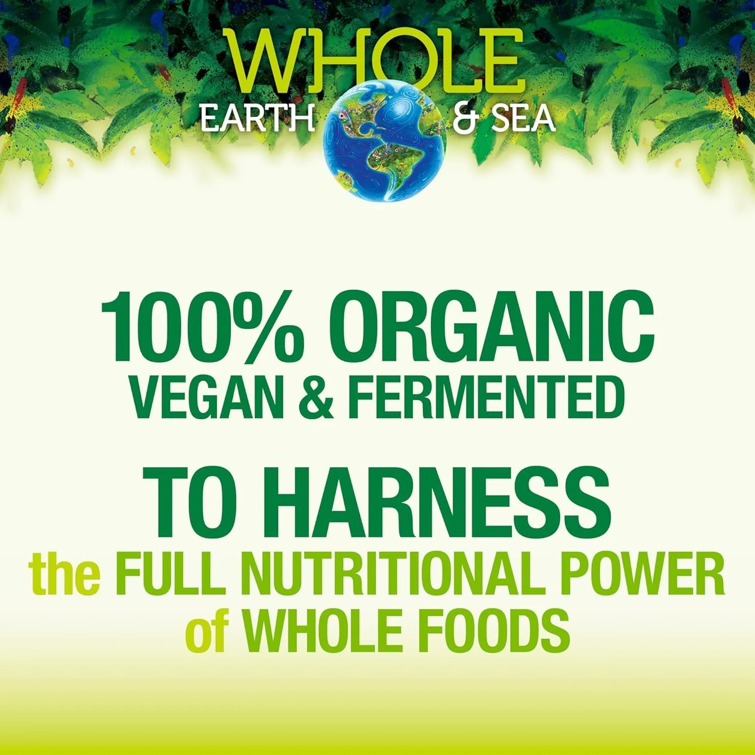Natural Factors Whole Earth & Sea Organic Fermented Greens Chocolate – Vegan, 15.5 oz - Image 4