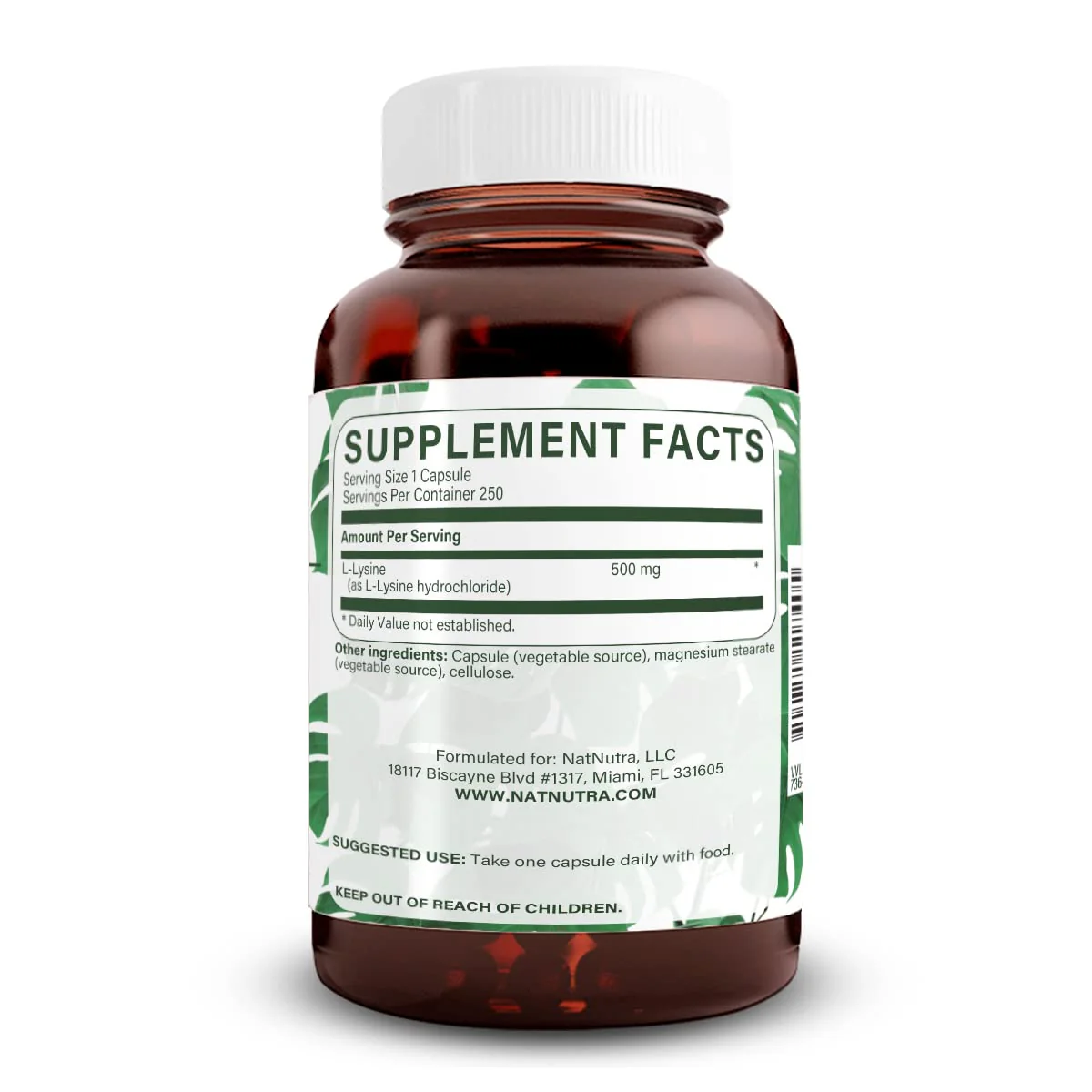 Natural Nutra L Lysine HCl 500 mg | Bone Health, Skin Support, Vegan, Non-GMO, 250 Capsules - Image 2