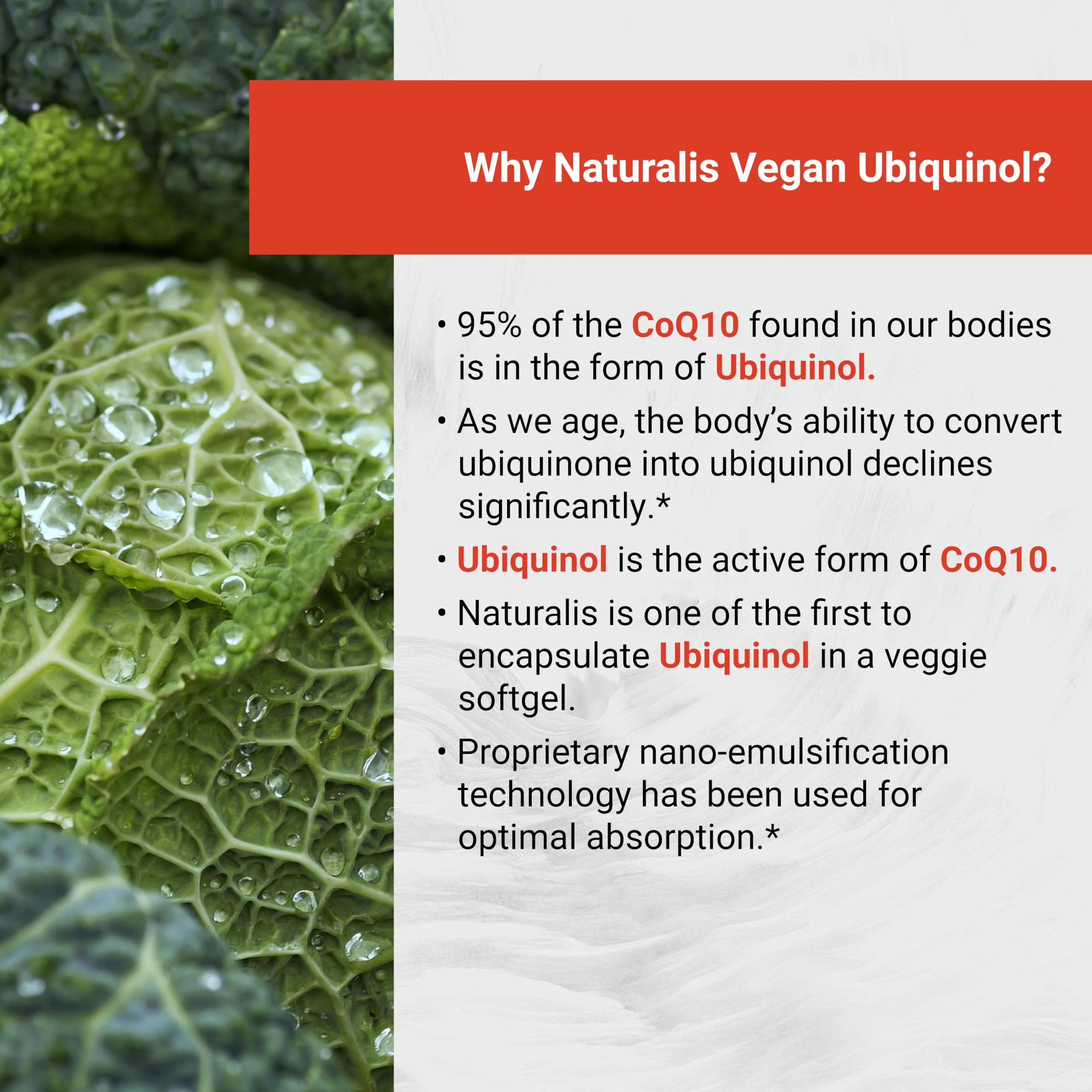 Naturalis Ubiquinol 100mg CoQ-10 Emulsified in MCT Oil – 120 Softgels | Gluten Free, Non-GMO & Soy-Free | Cardiovascular Wellness - Image 4