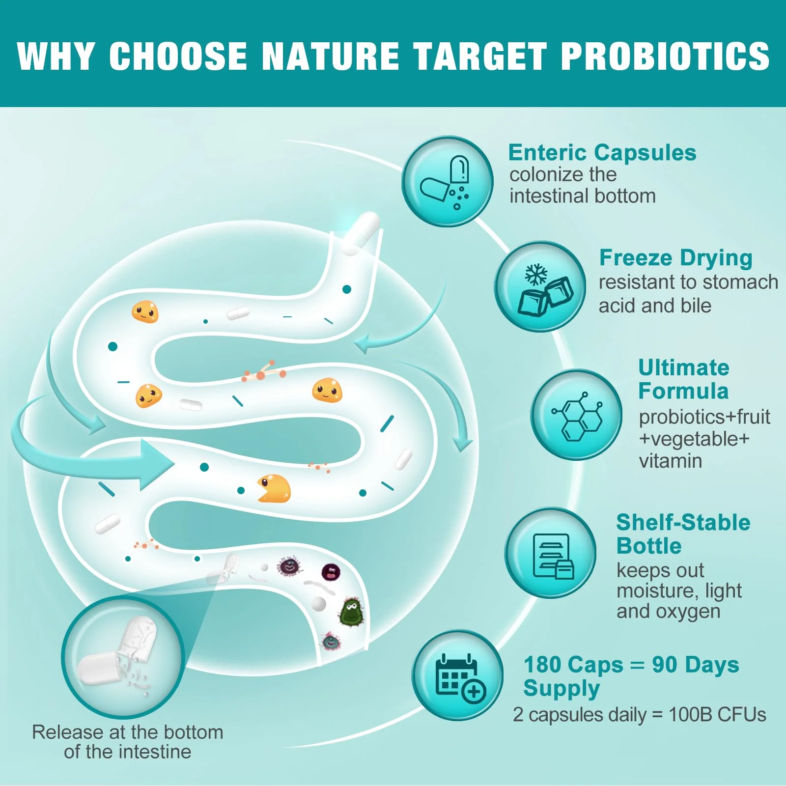 NATURE TARGET Probiotics for Women & Men – 100B CFU, 30 Strains, 180 Veggie Capsules per Pack, Pack of 2 (180 Days) - Image 9