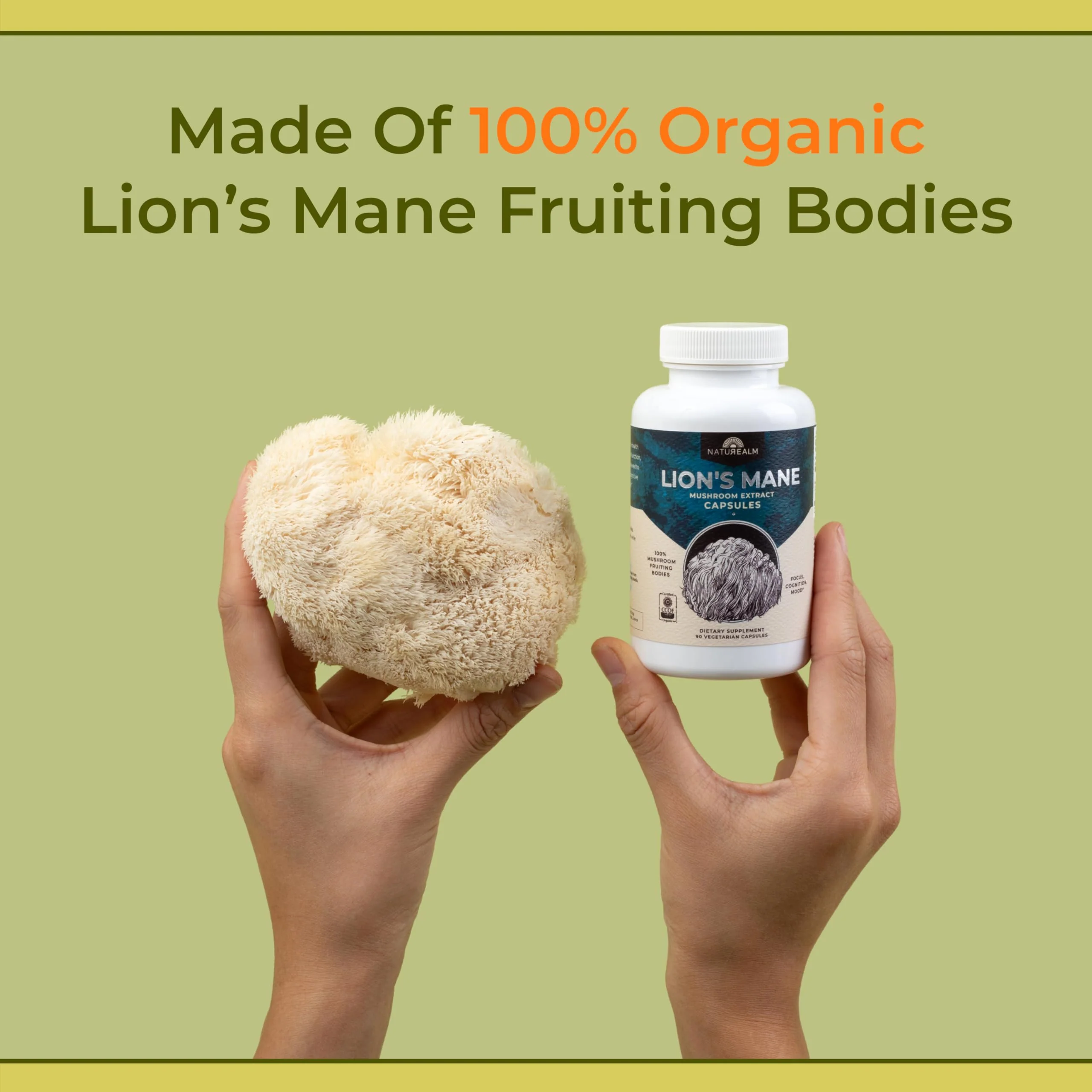 Naturealm Lions Mane Mushroom Supplement – Organic Brain Support, Focus & Memory | 90 Vegetarian Capsules - Image 6