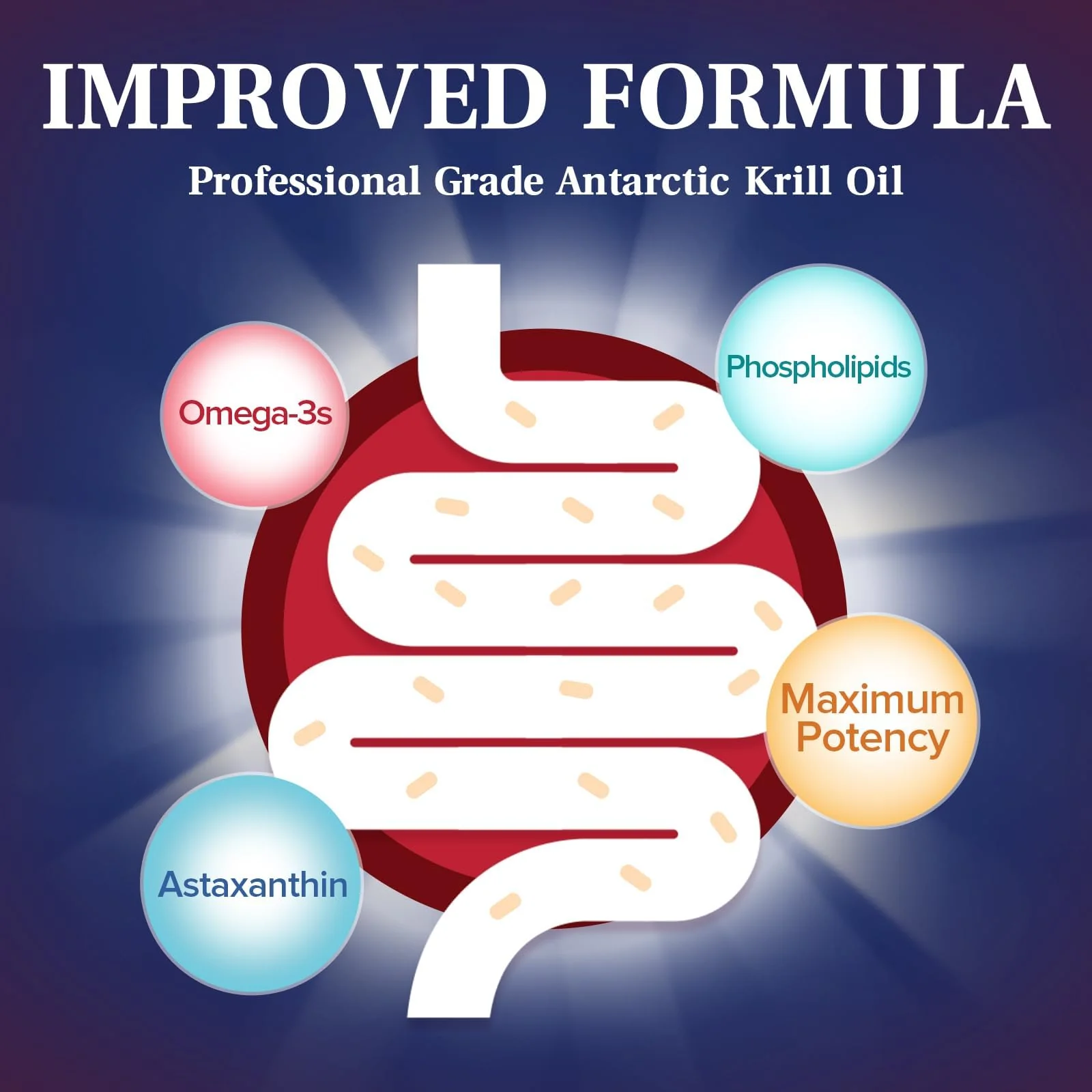 NatureMyst Antarctic Krill Oil 1000 mg Softgels - Omega-3 EPA/DHA, Phospholipids & Astaxanthin | Made in USA - Image 3