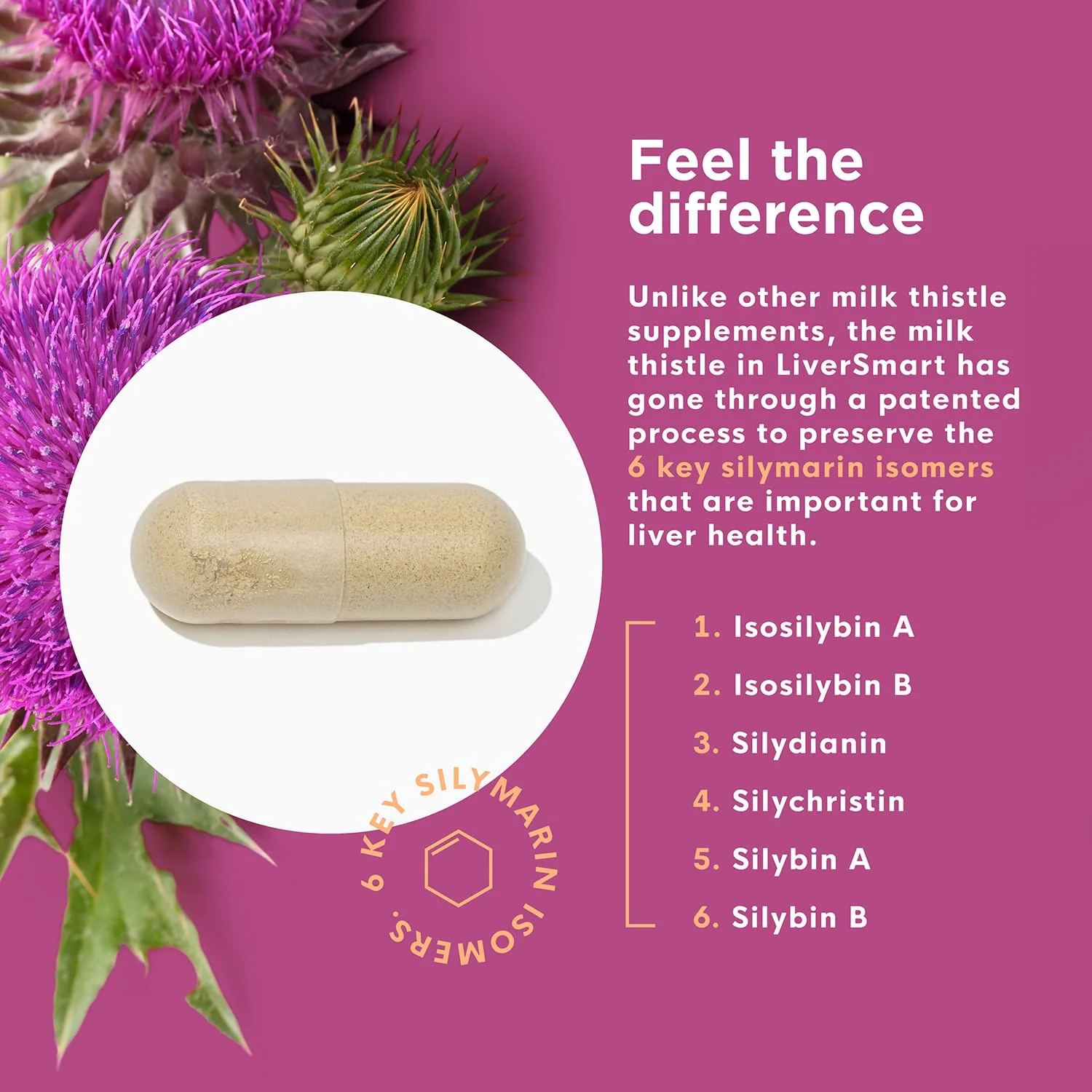 Naturenetics Milk Thistle Liver Cleanse & Support Supplement, 60 Veggie Capsules | 80% Silymarin, Artichoke & Dandelion, Vegan, Gluten-Free | 6-Pack - Image 10