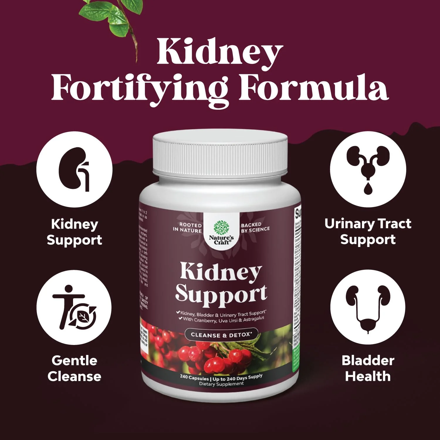 Nature's Craft Advanced Kidney Support Supplement – Kidney Cleanse Detox & Repair Capsules with Cranberry, Uva Ursi & Astragalus – Urinary Tract Health, 240 Caps - Image 10