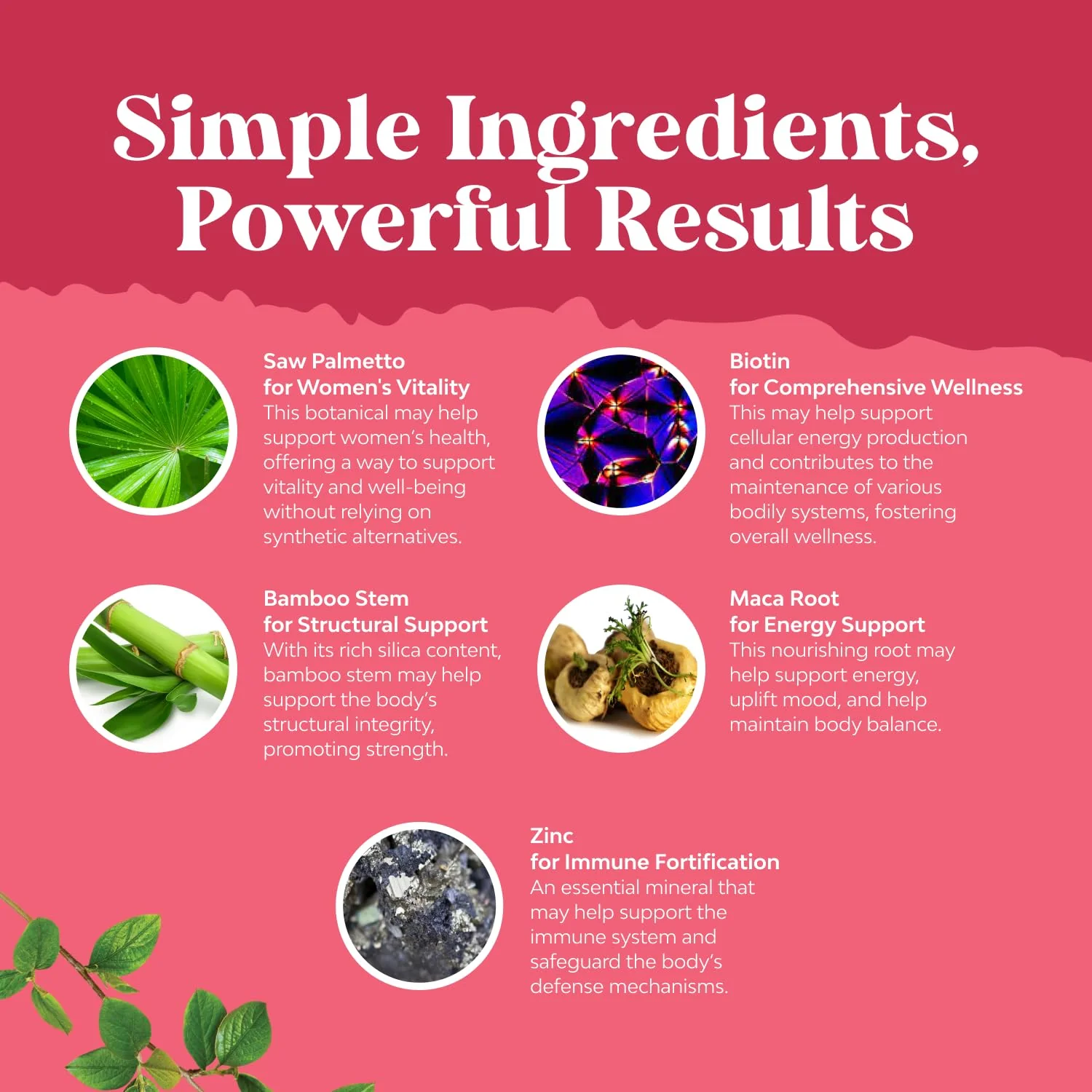 Nature's Craft Extra Strength Saw Palmetto for Women – 500mg, Maca & Biotin, 180 Capsules - Image 4